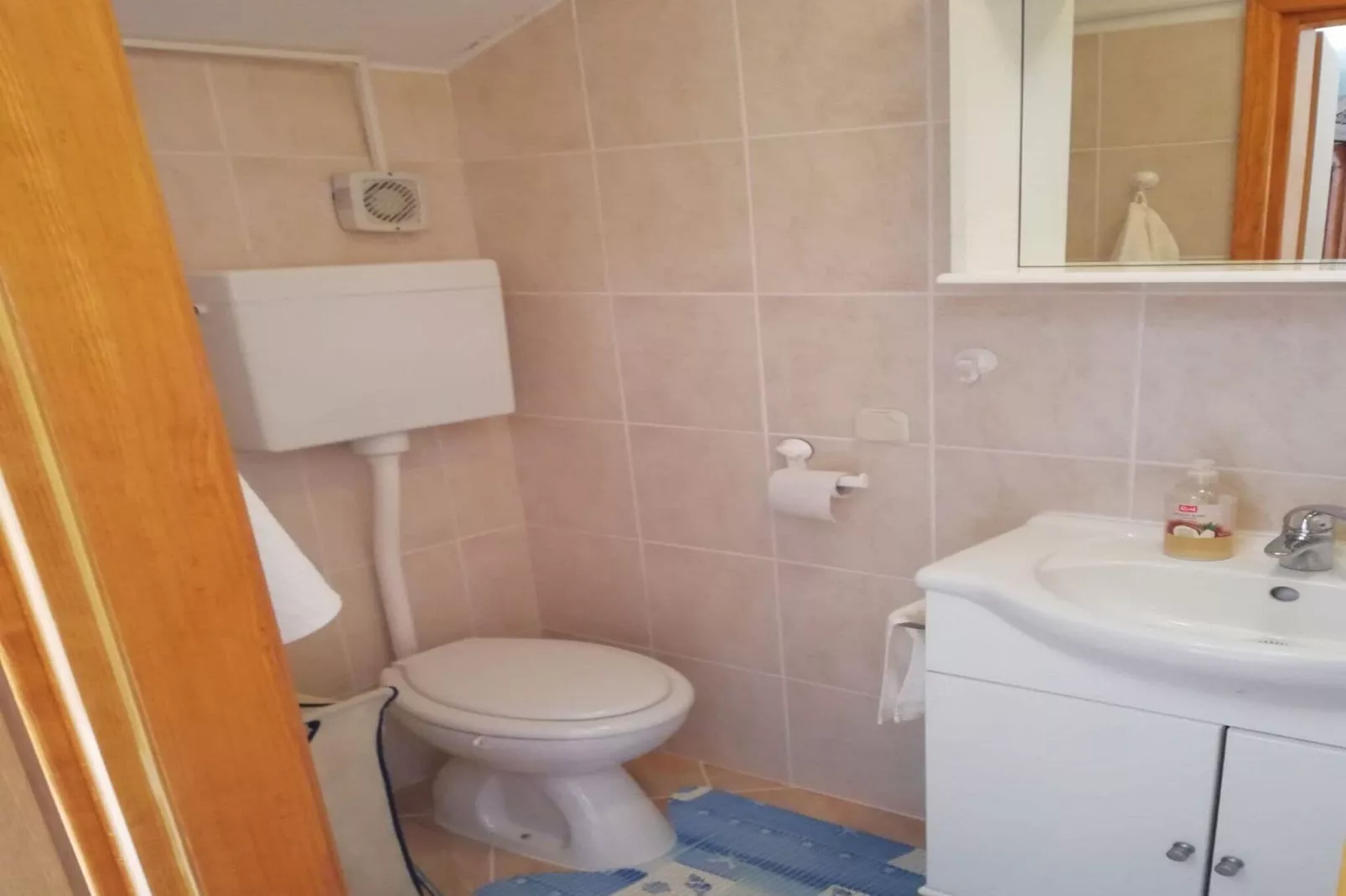 Apartments Agava & Lucija-Studio Apartment(First Floor)-Badkamer