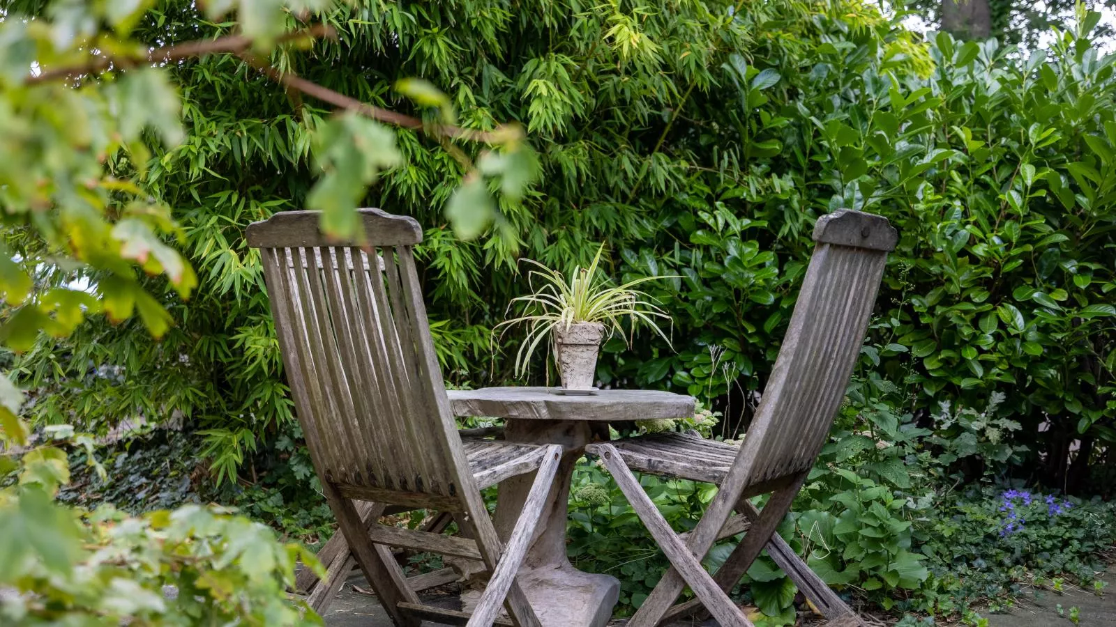 Cosy Bergen-Tuinen zomer