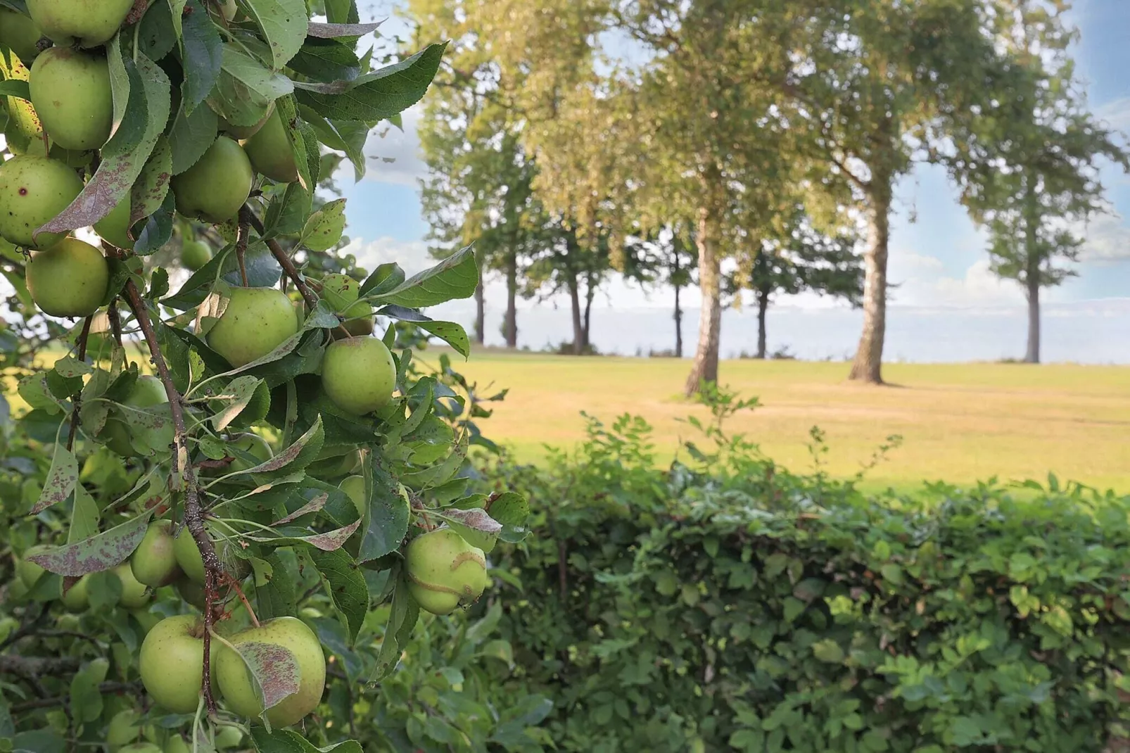 5 persoons vakantie huis in Stubbekøbing-Waterzicht