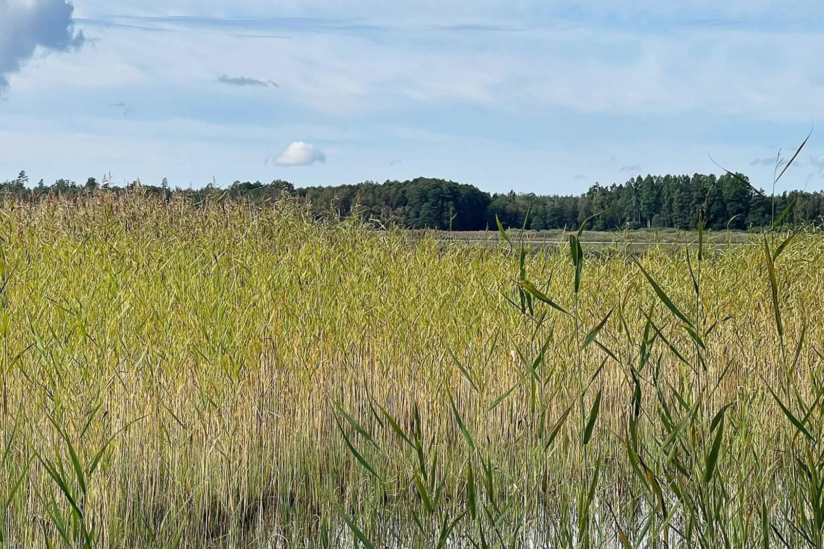 4 sterren vakantie huis in TÄVELSÅS-Niet-getagd