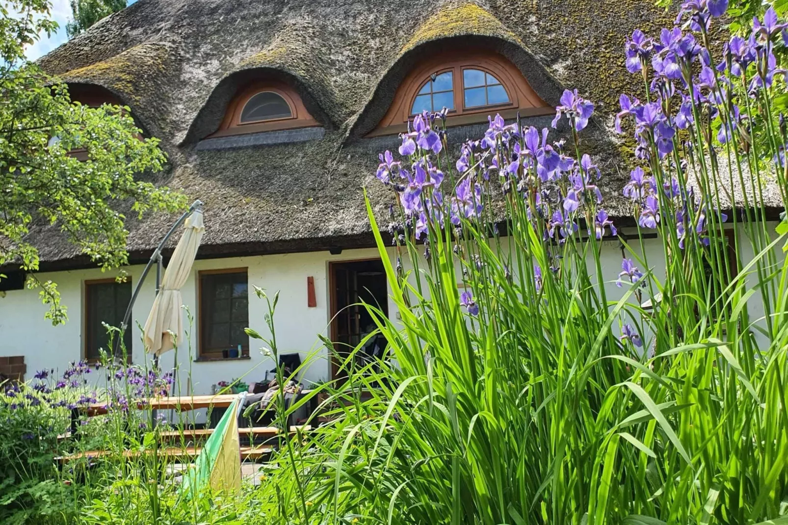 Schoene Wohnung im reetgedachten Bauernhaus-Tuinen zomer