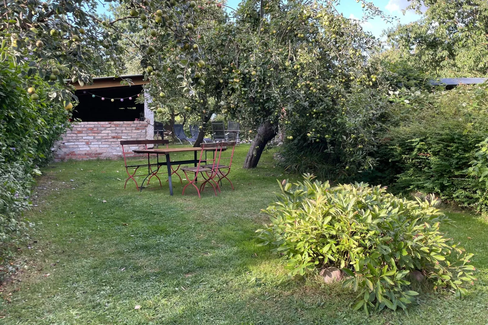 Schoene Wohnung im reetgedachten Bauernhaus-Tuinen zomer