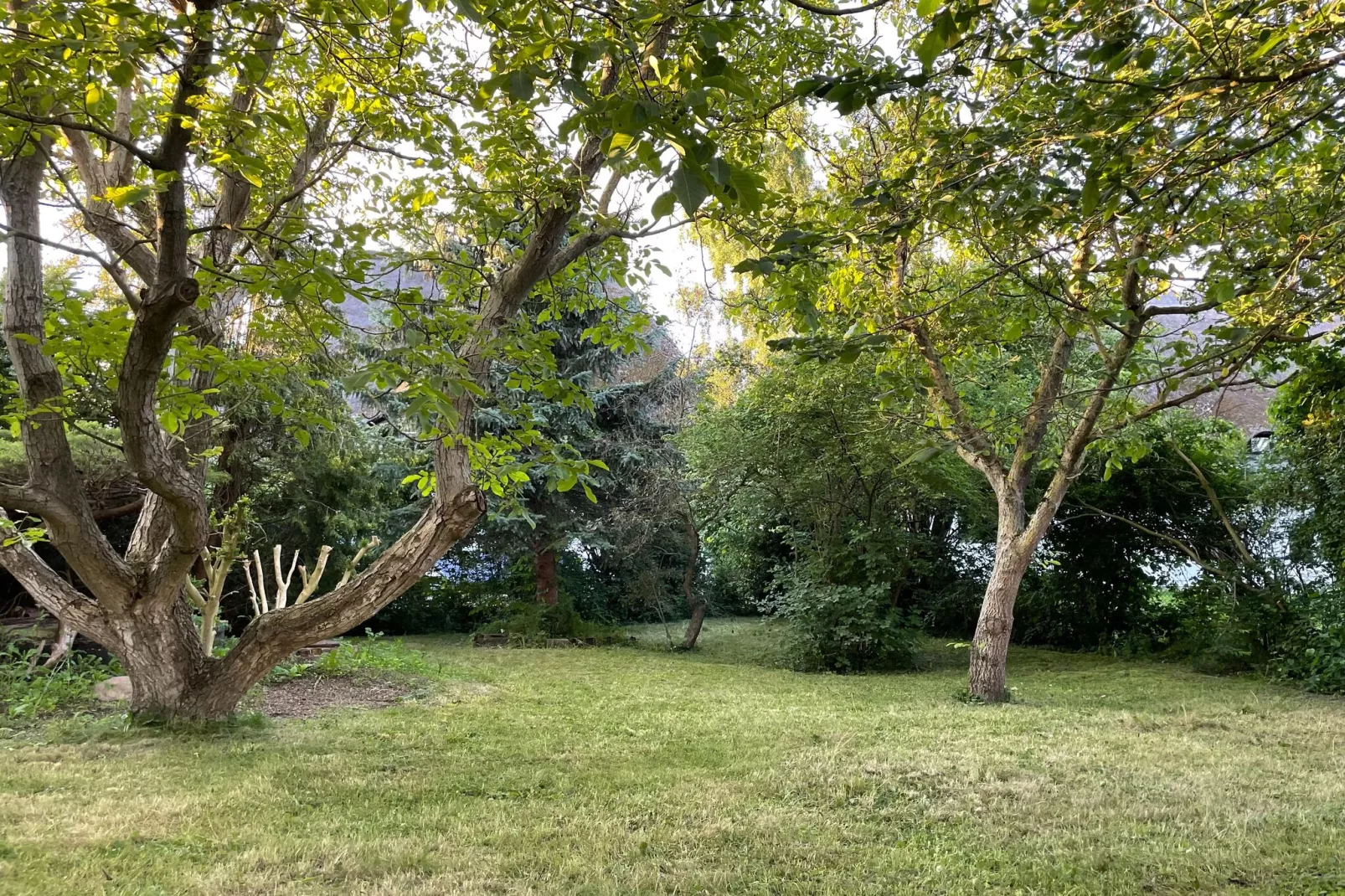 Schoene Wohnung im reetgedachten Bauernhaus-Tuinen zomer