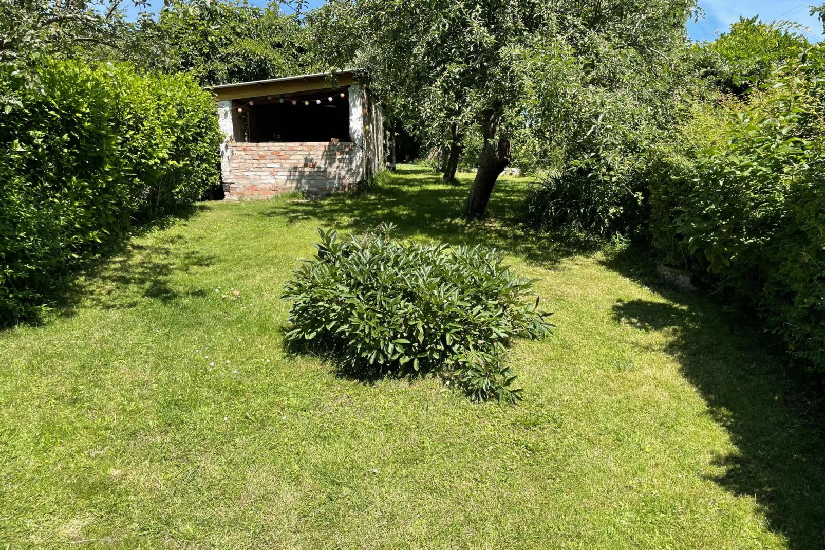 Schoene Wohnung im reetgedachten Bauernhaus-Tuinen zomer