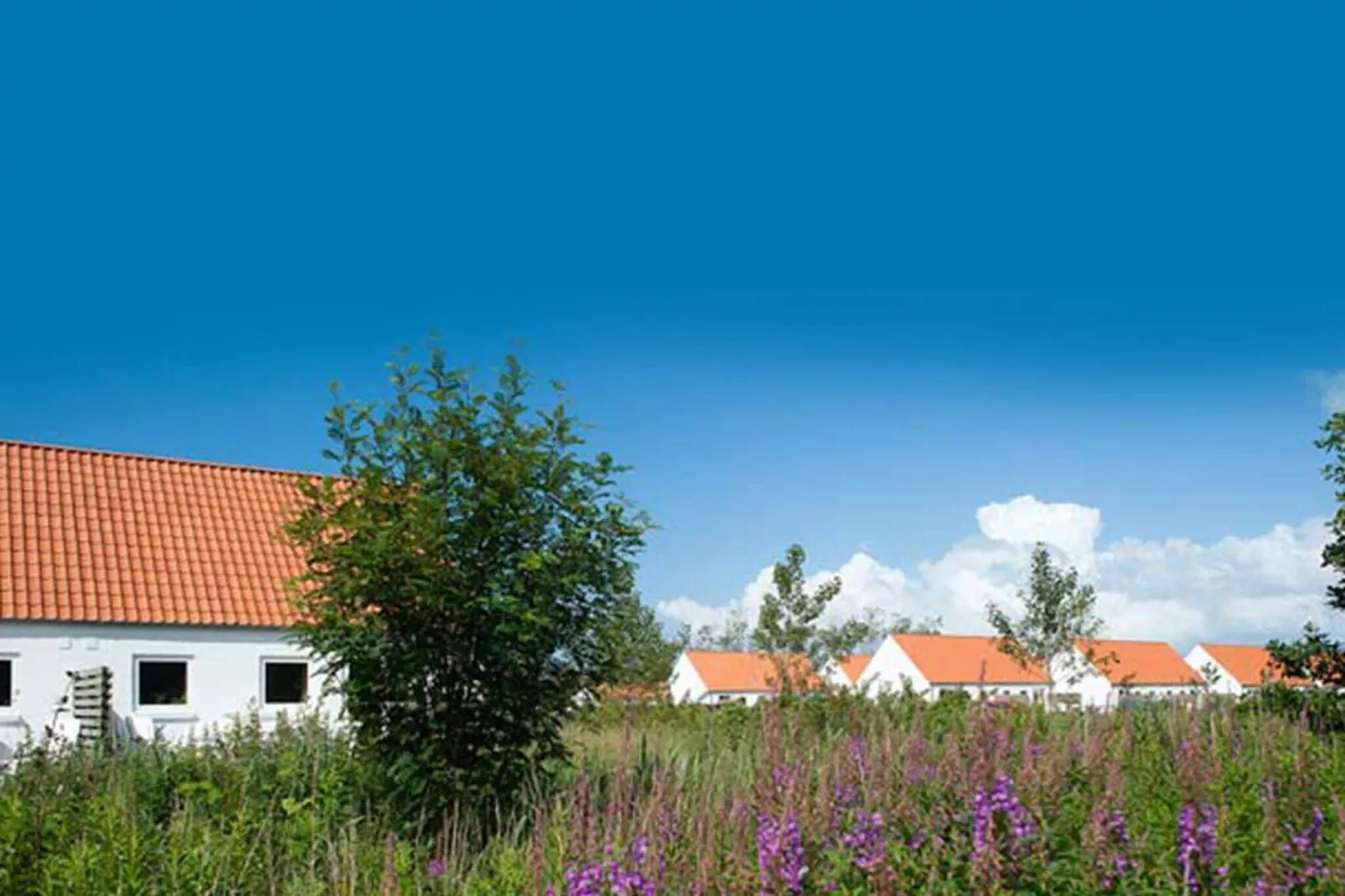 4 sterren vakantie huis in Skagen