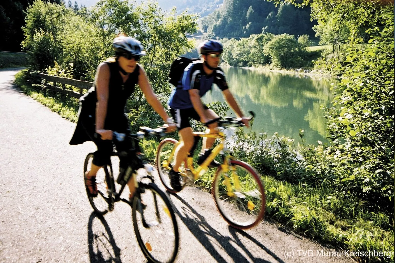 Kreischberg Chalets 4a-Gebieden zomer 1km