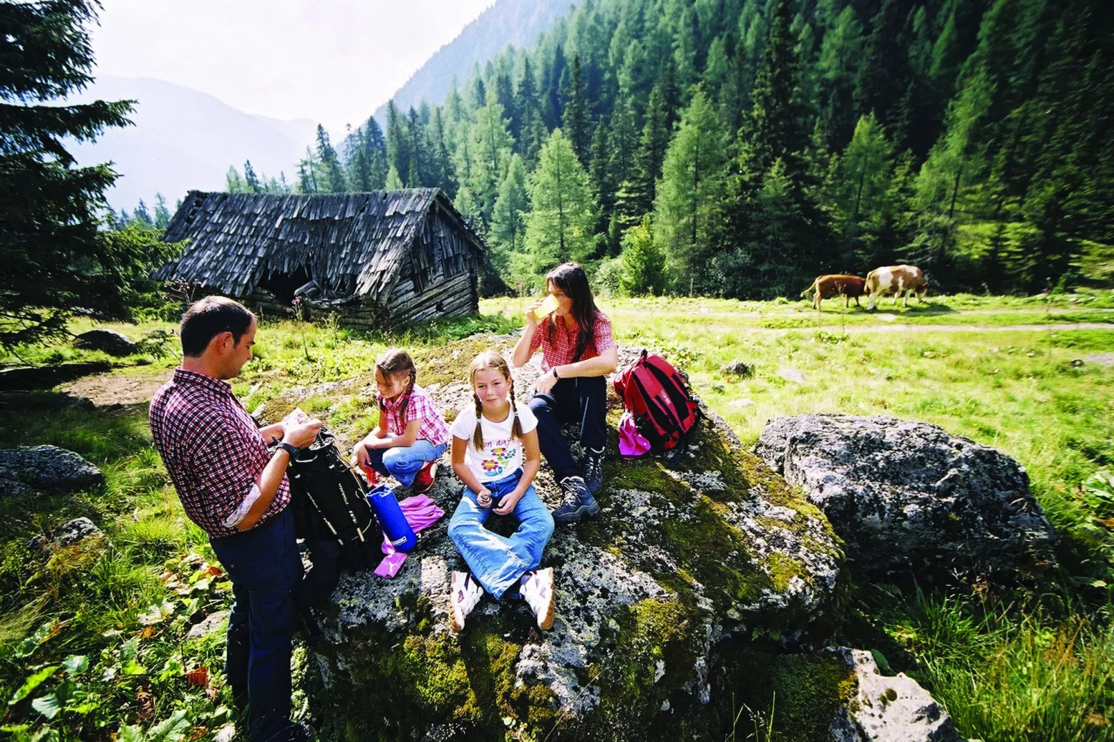 Kreischberg Chalets 23-Gebieden zomer 5km