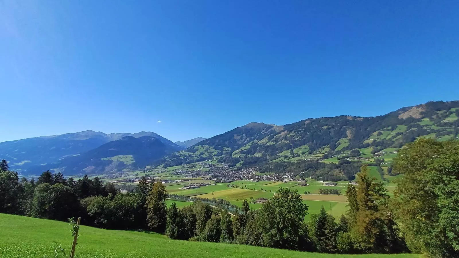 Steiner-Uitzicht zomer