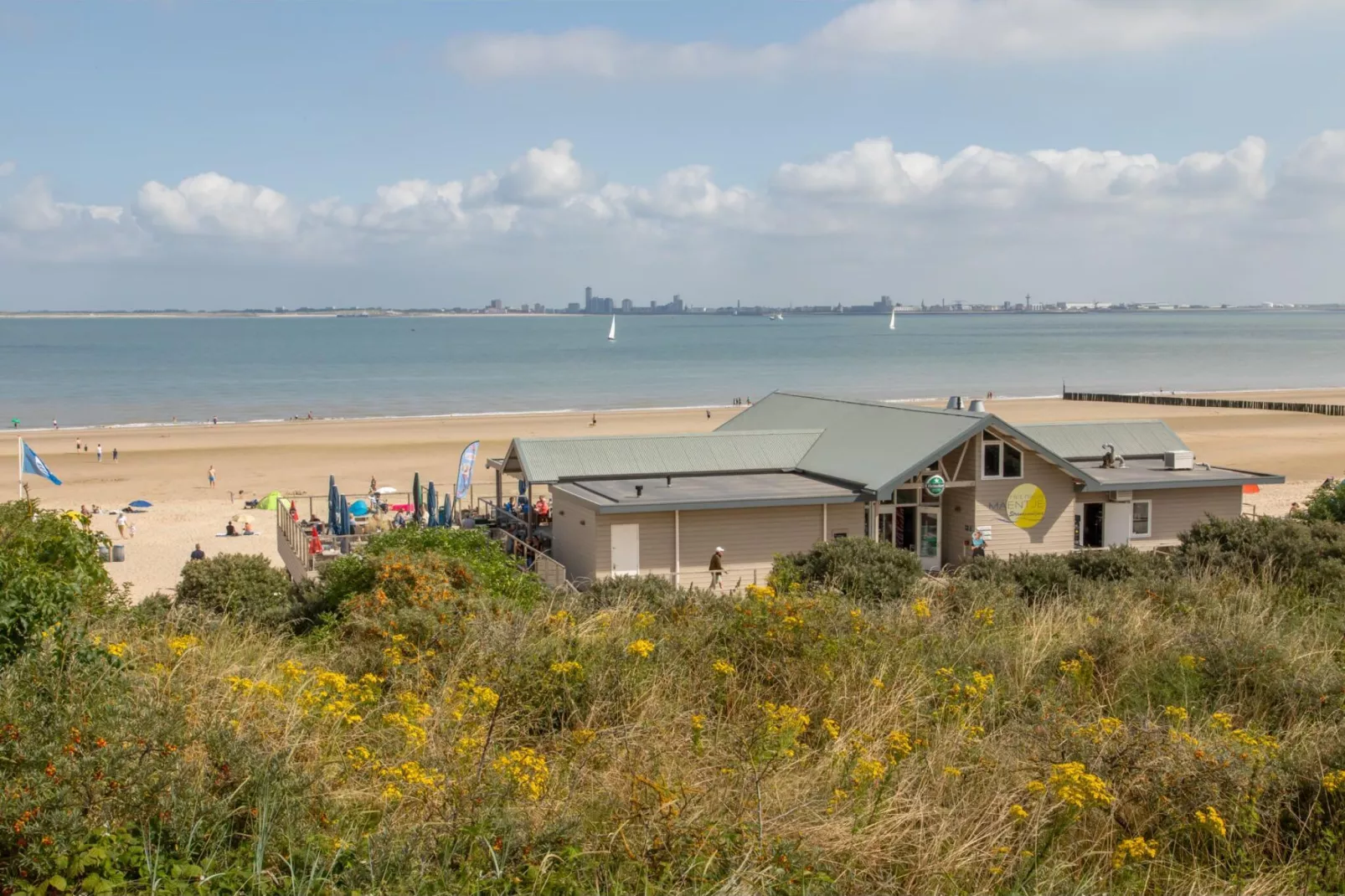 Strandhuis Schoneveld-Gebieden zomer 1km