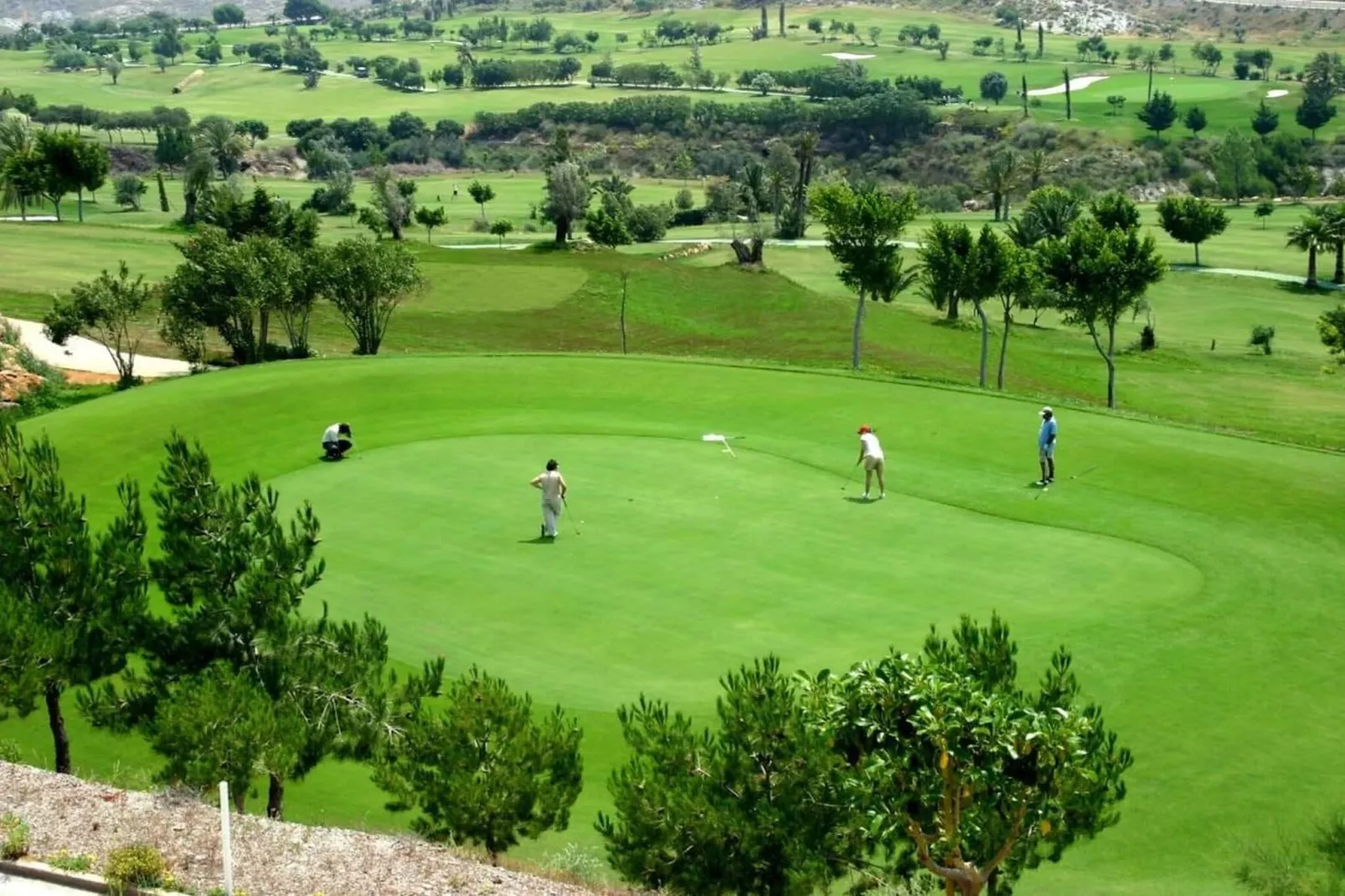 Estudio Envía Golf-Gebieden zomer 1km