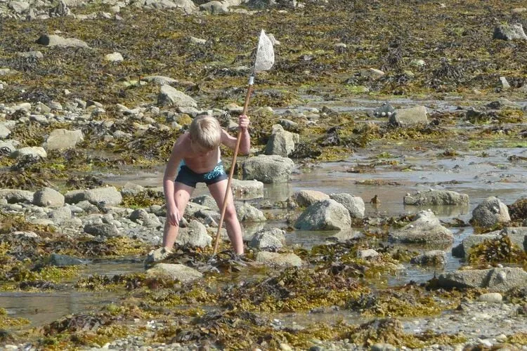 Maison de pêcheur Plougoulm-Gebieden zomer 20km