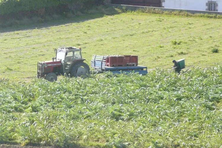 Maison de pêcheur Plougoulm-Gebieden zomer 5km