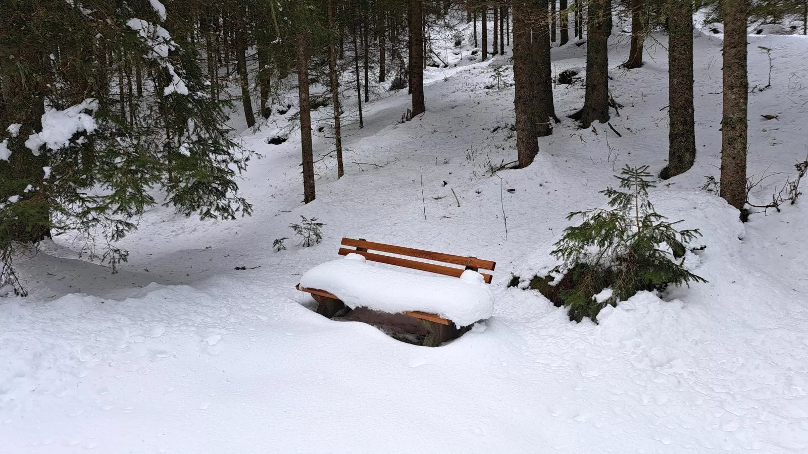 Grebenzen Lodge Edelweiss-Gebied winter 1km