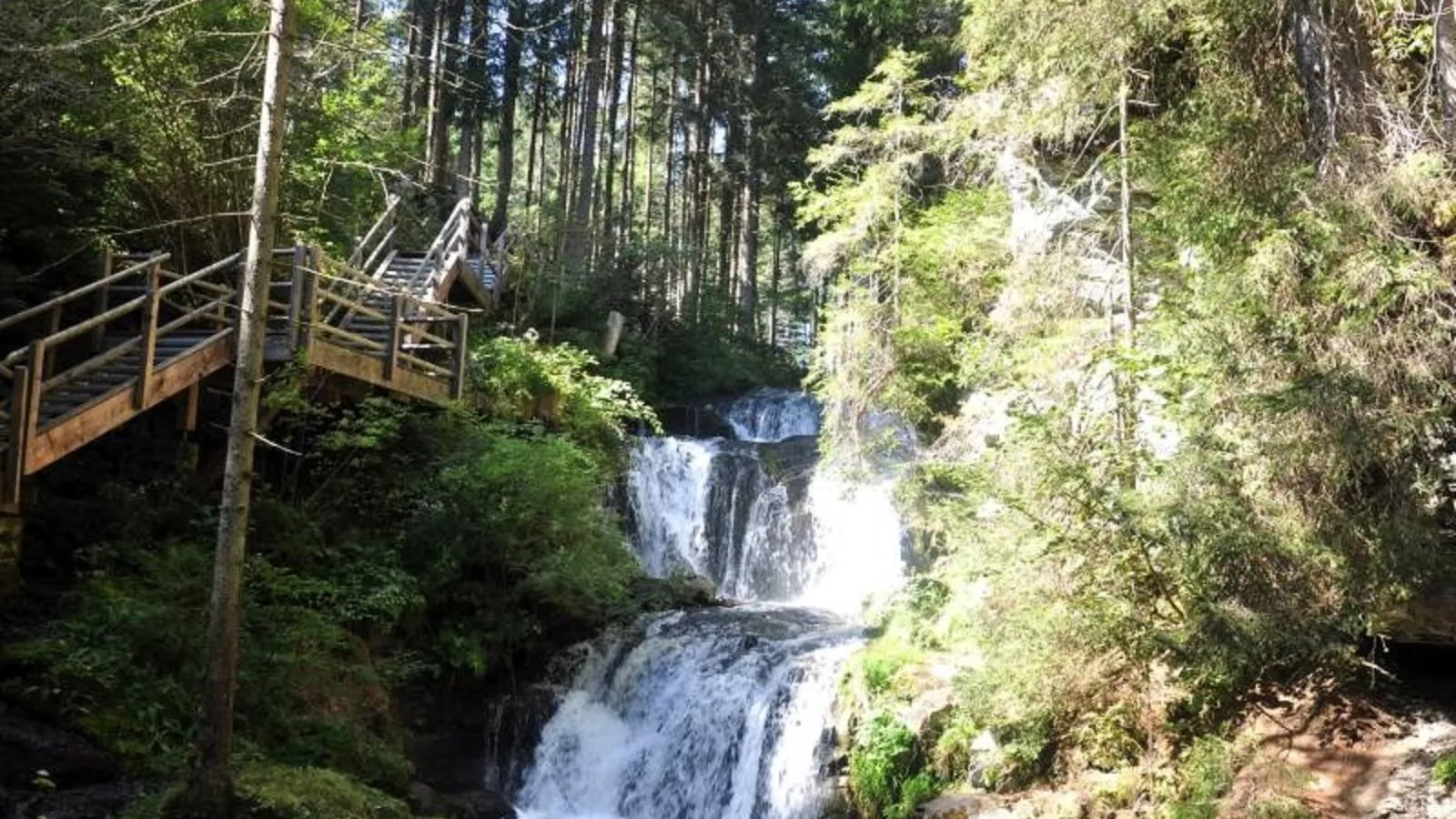 Grebenzen Lodge Edelweiss-Gebieden zomer 20km