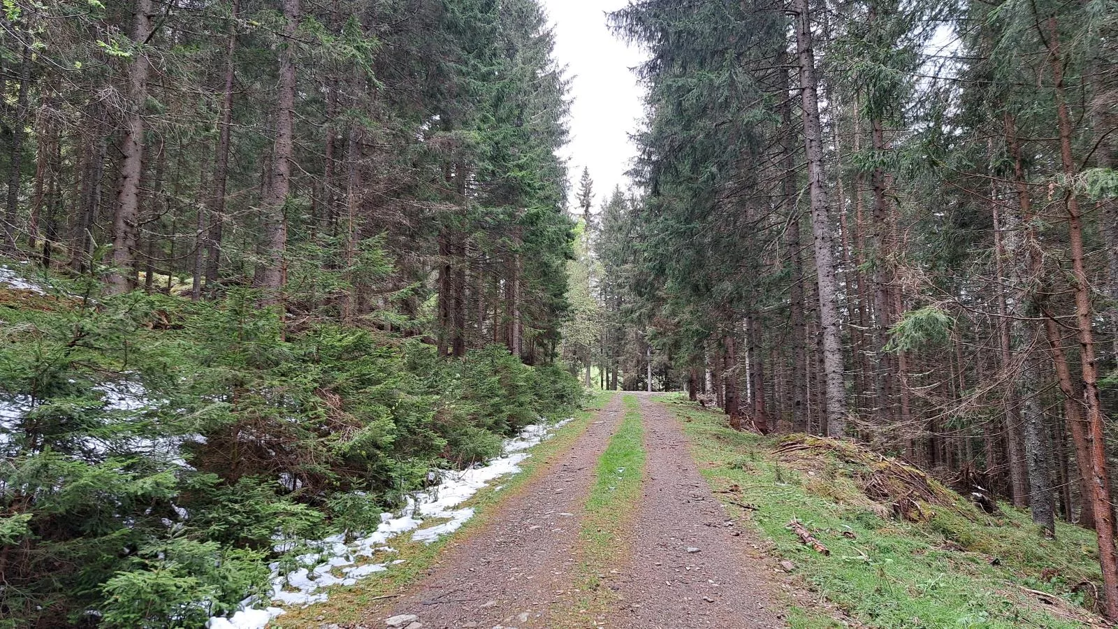 Grebenzen Lodge Edelweiss-Gebieden zomer 5km