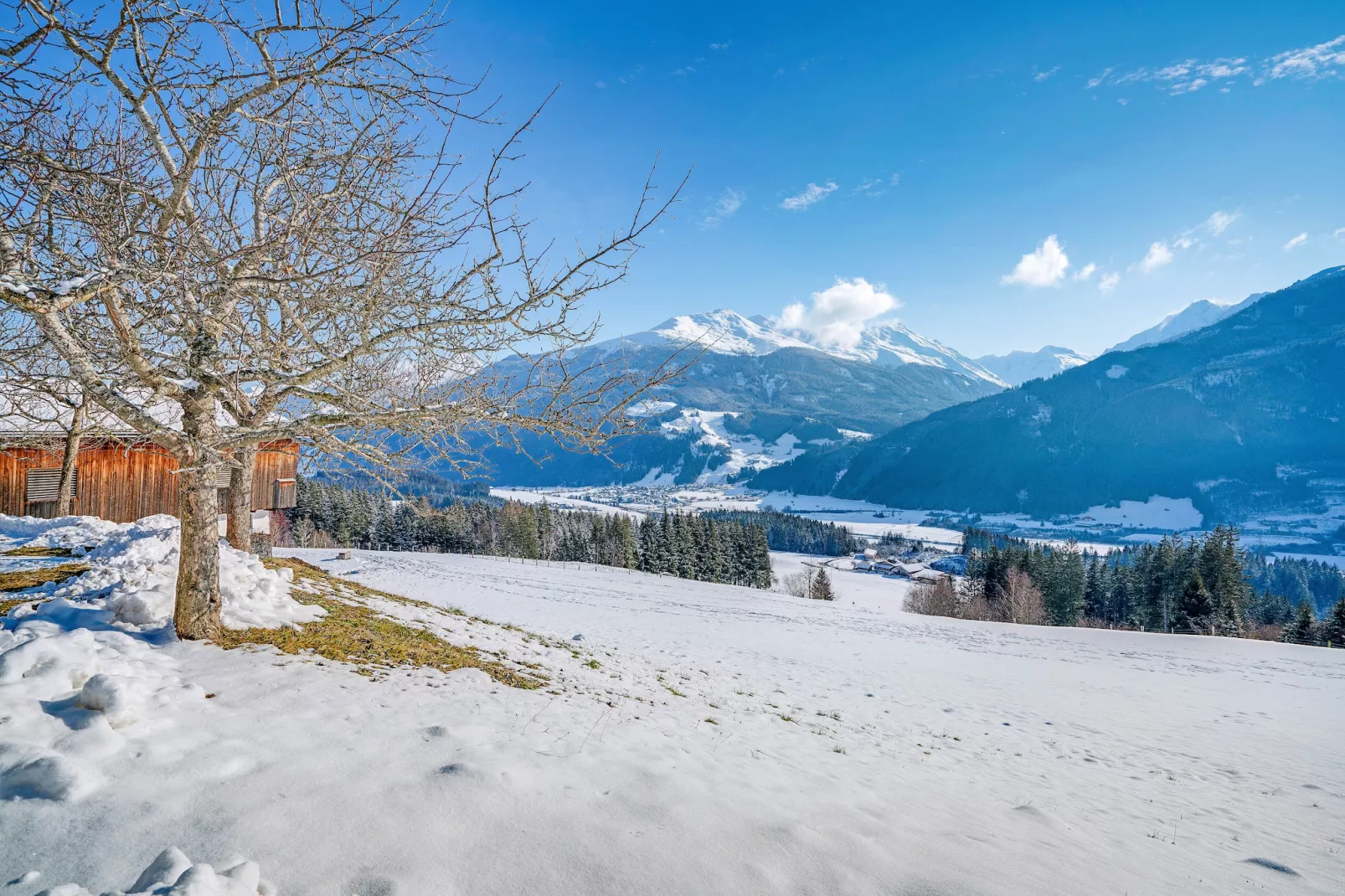 Bergliebe & Waldrand-Gebied winter 1km