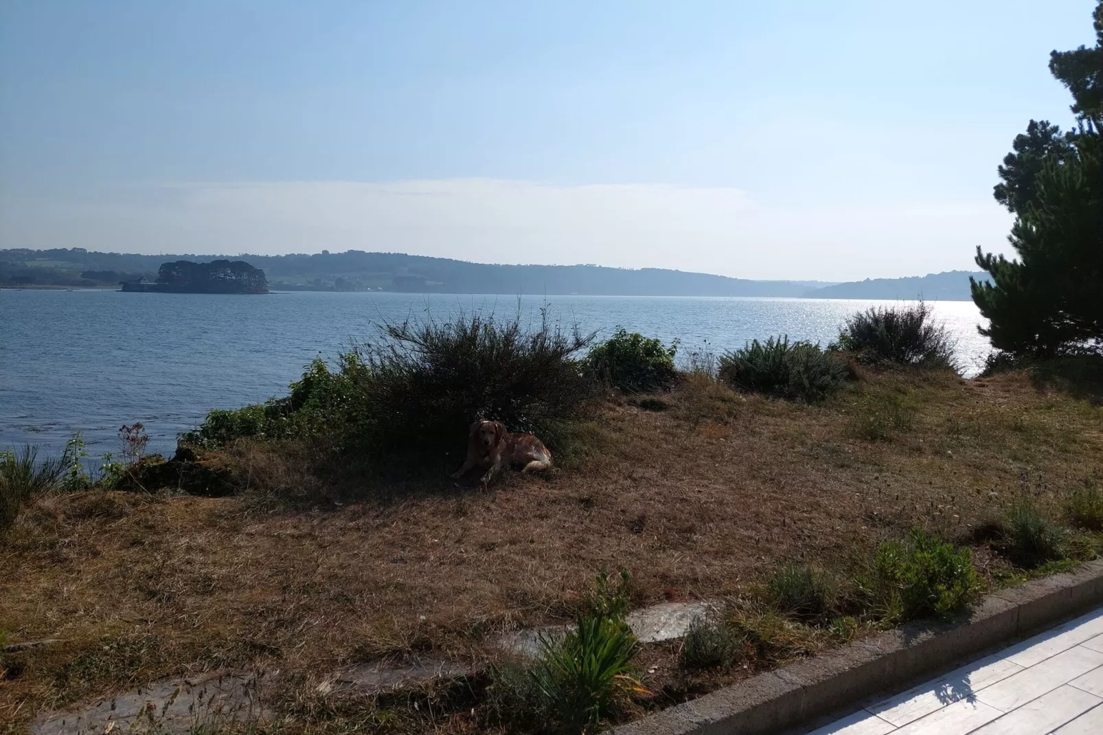 Ferienhaus vom Meer umgeben Hanvec-Uitzicht zomer