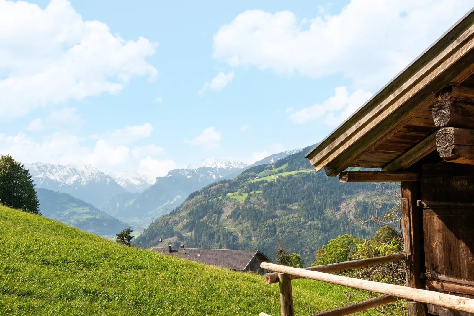 Alpblick Apart-Uitzicht zomer