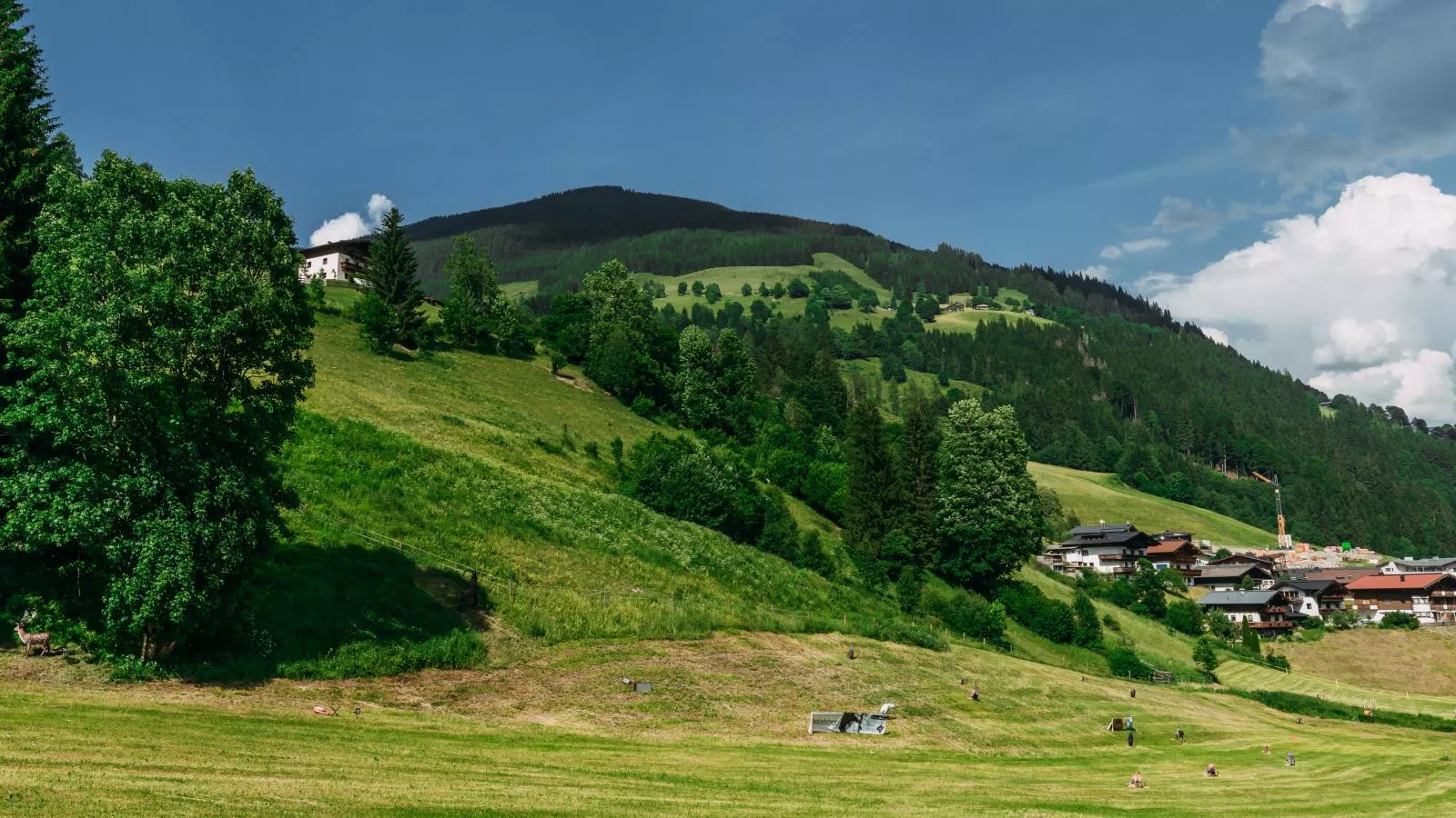 Residenz Steinbock Top 1A-Uitzicht zomer