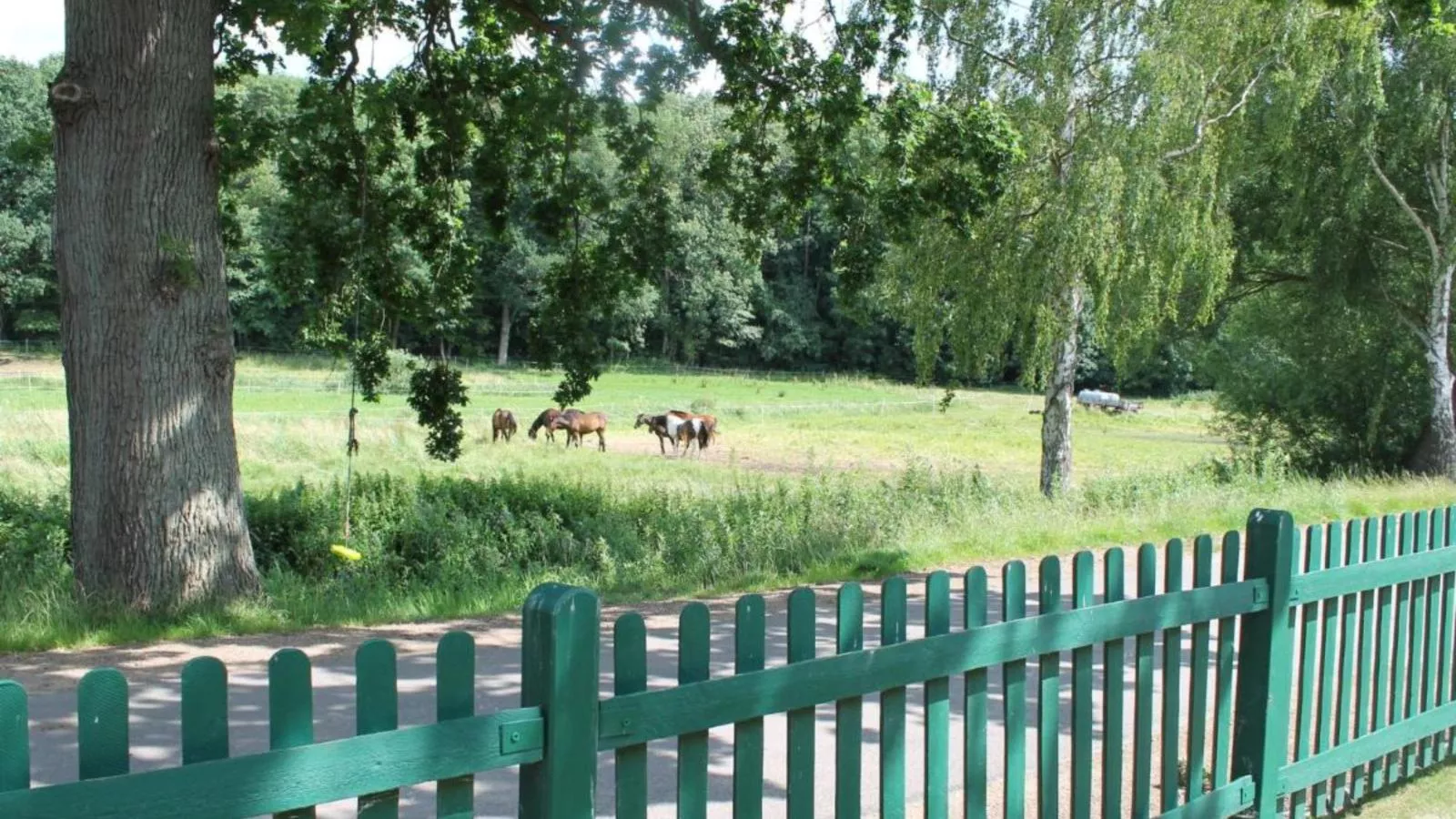 Natur Pur-Uitzicht zomer