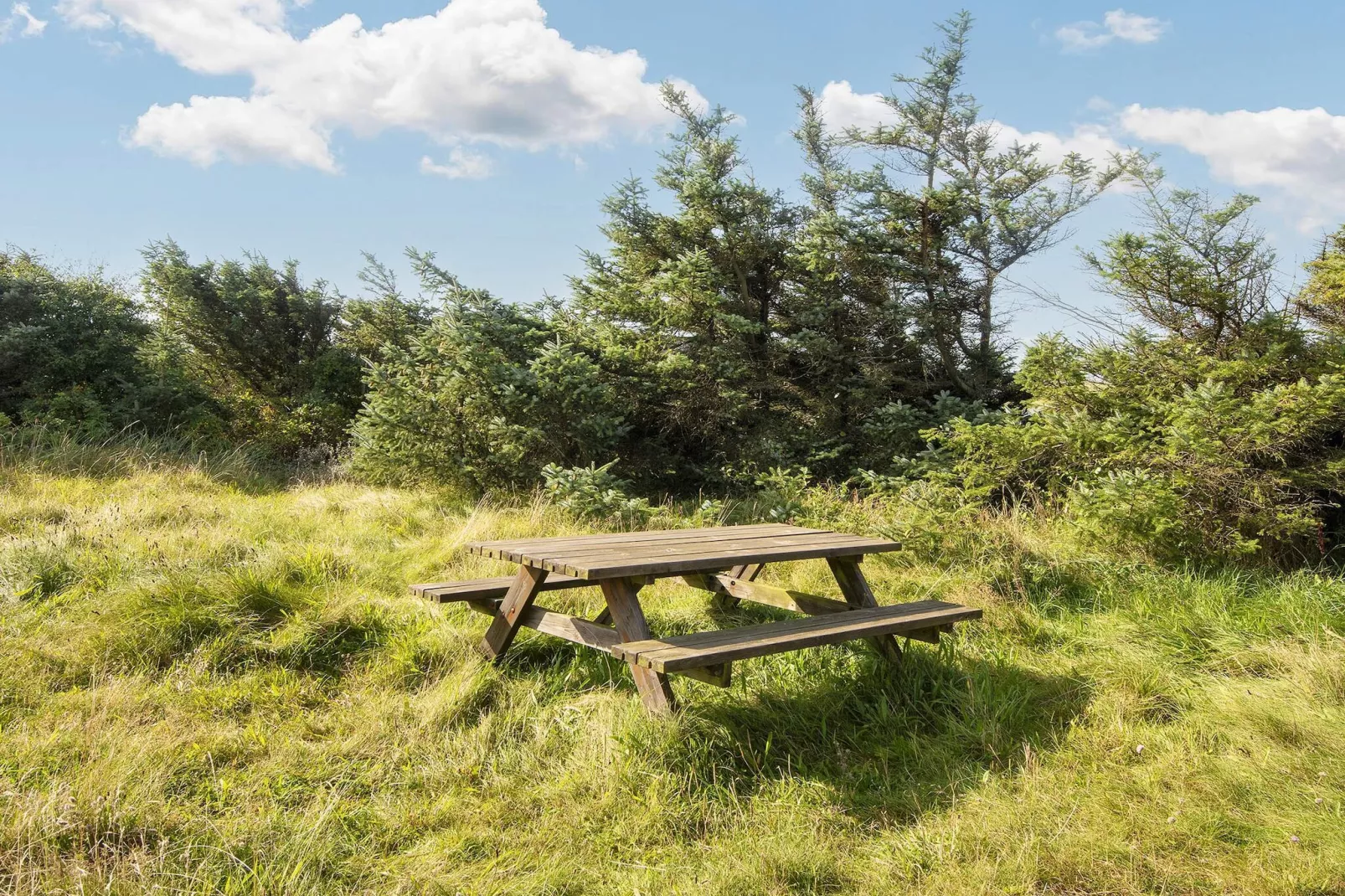 10 persoons vakantie huis in Harboøre-Buitenlucht