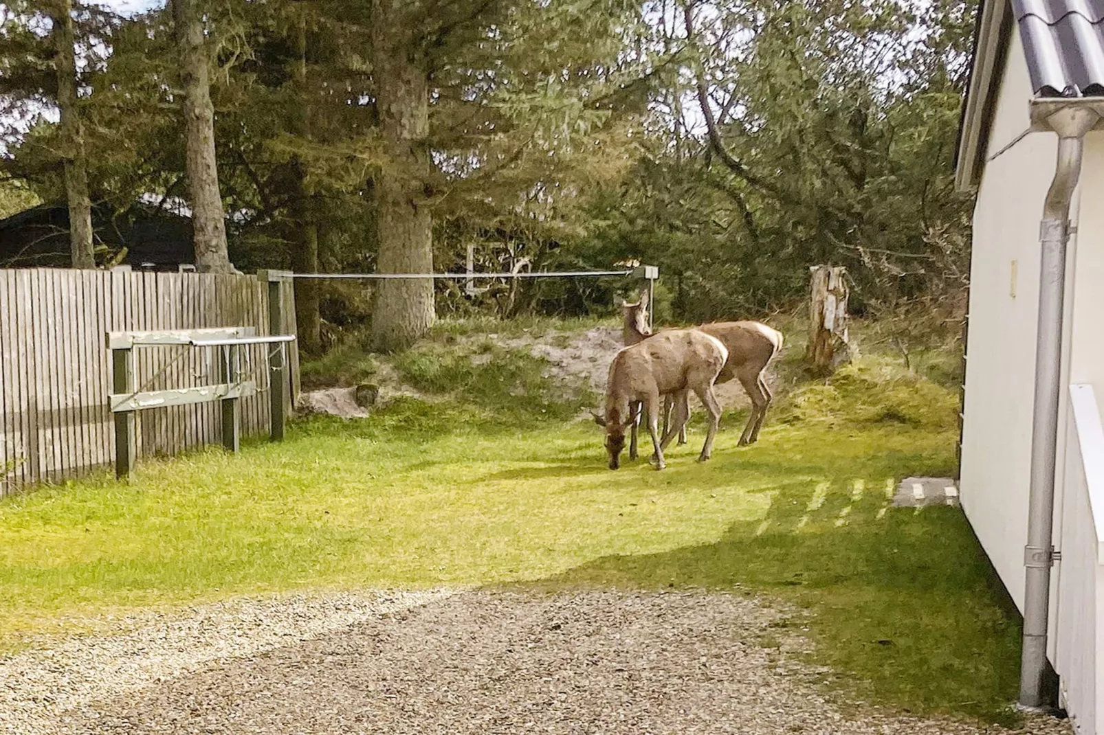 2 persoons vakantie huis in Vejers Strand-Buitenlucht