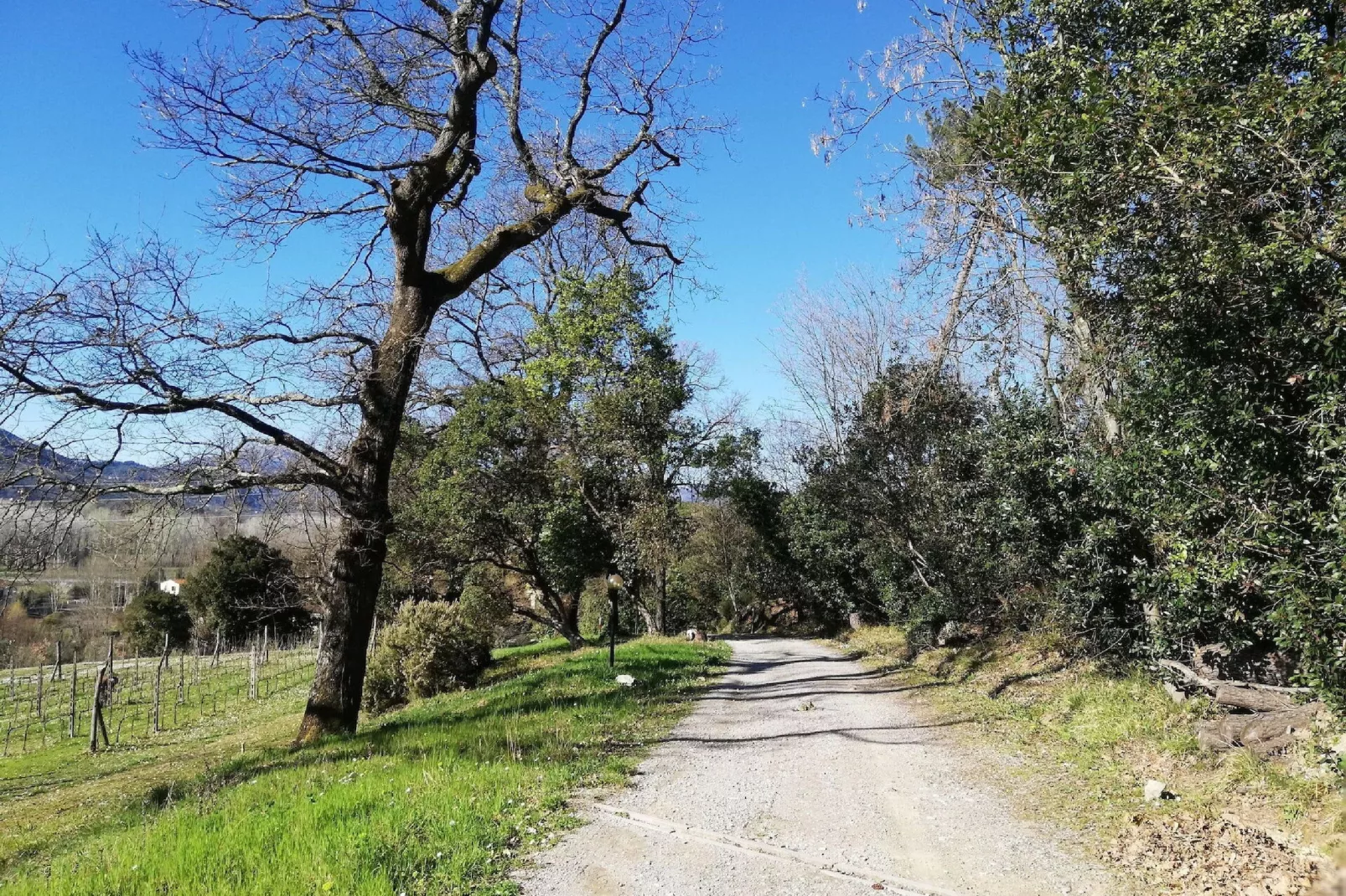 Le Piane-Gebieden zomer 1km