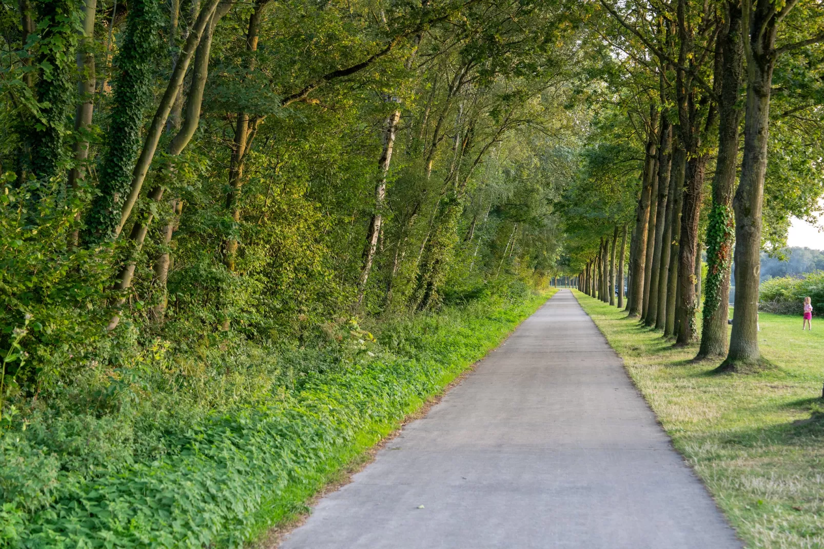 The Blue Lodge by YourNature-Gebieden zomer 5km