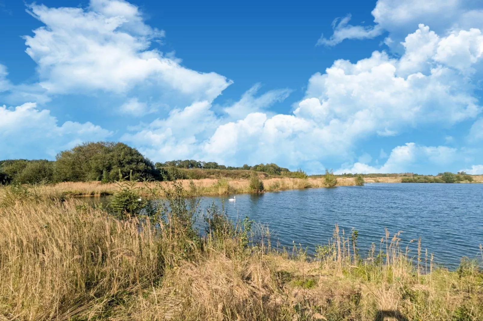 The Lake House by YourNature-Gebieden zomer 1km