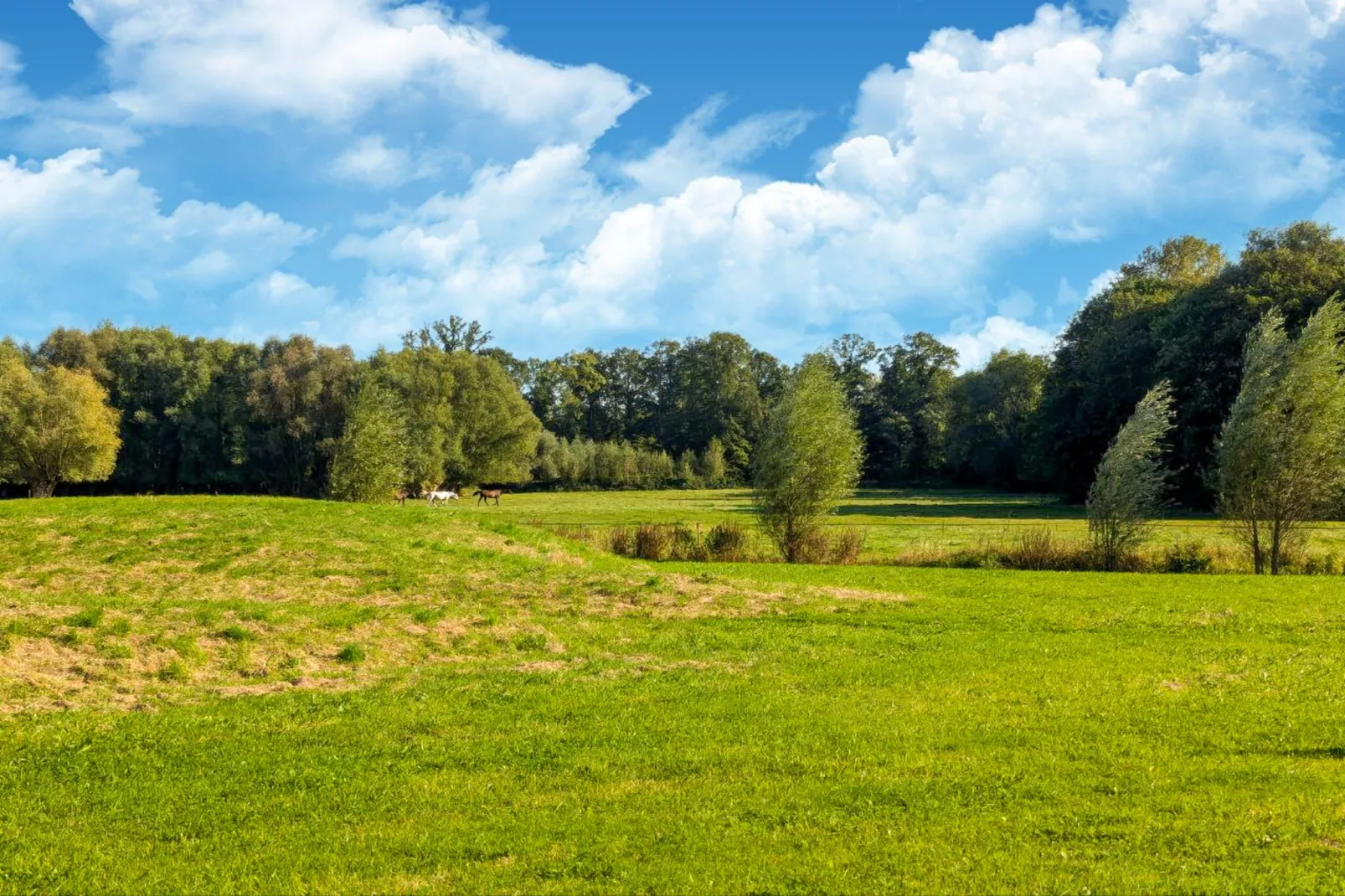 The Lake House by YourNature-Gebieden zomer 1km