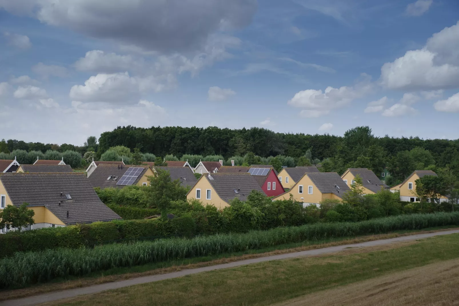 Villapark De Oesterbaai 89-Gebieden zomer 1km