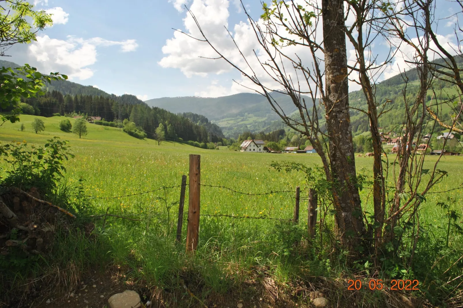 Kreischberg Chalets 54a-Uitzicht zomer