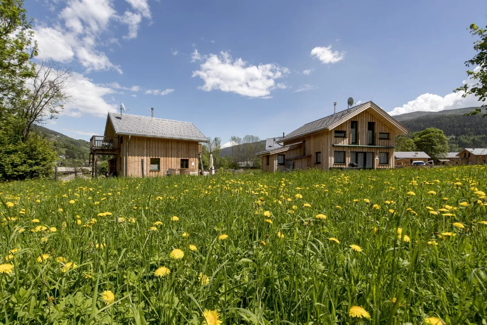 Kreischberg Chalet 57-Buitenkant zomer