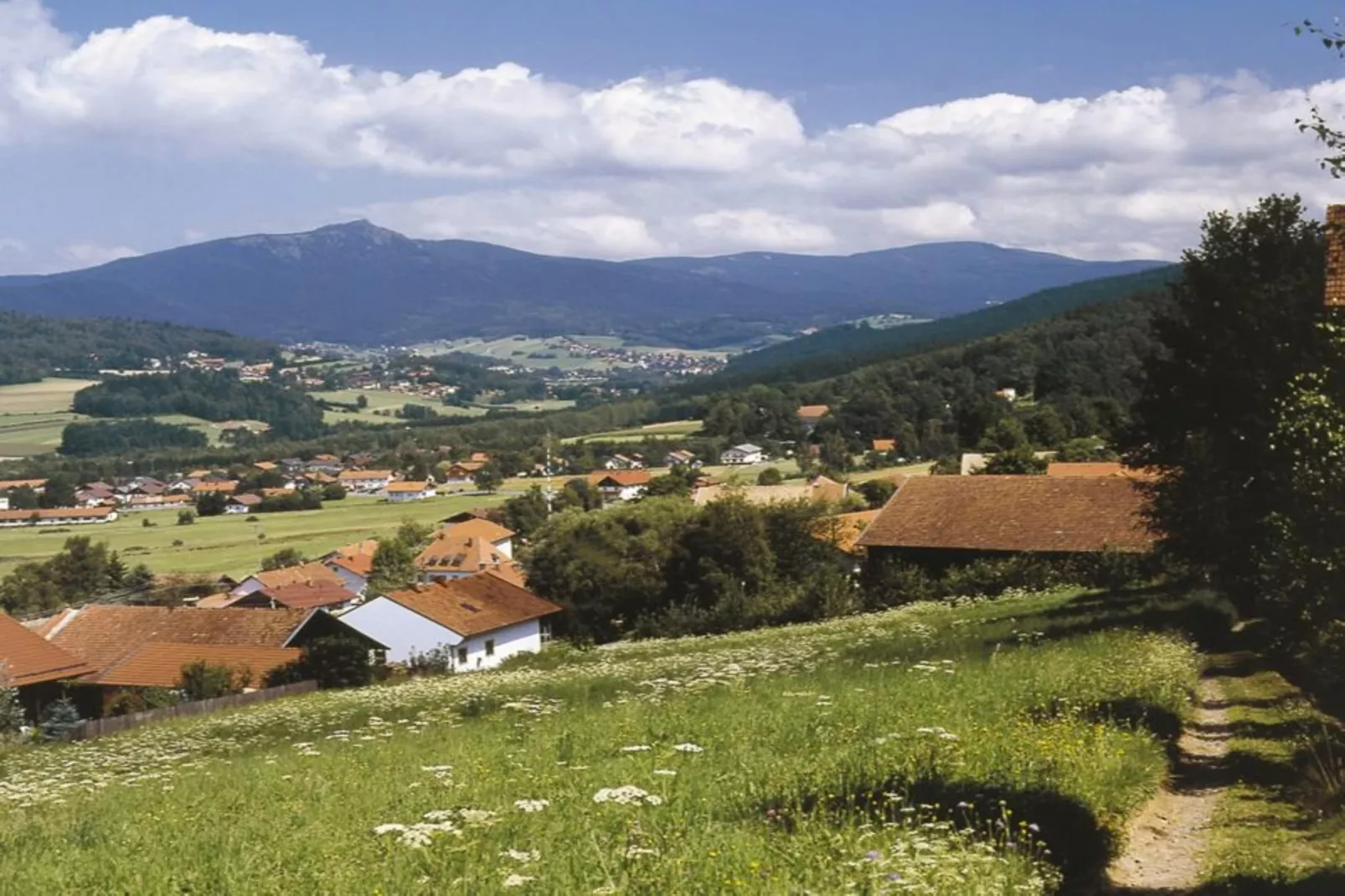 Ferienwohnung in Arrach bei Skigebiet Großer Arber-Gebieden zomer 20km