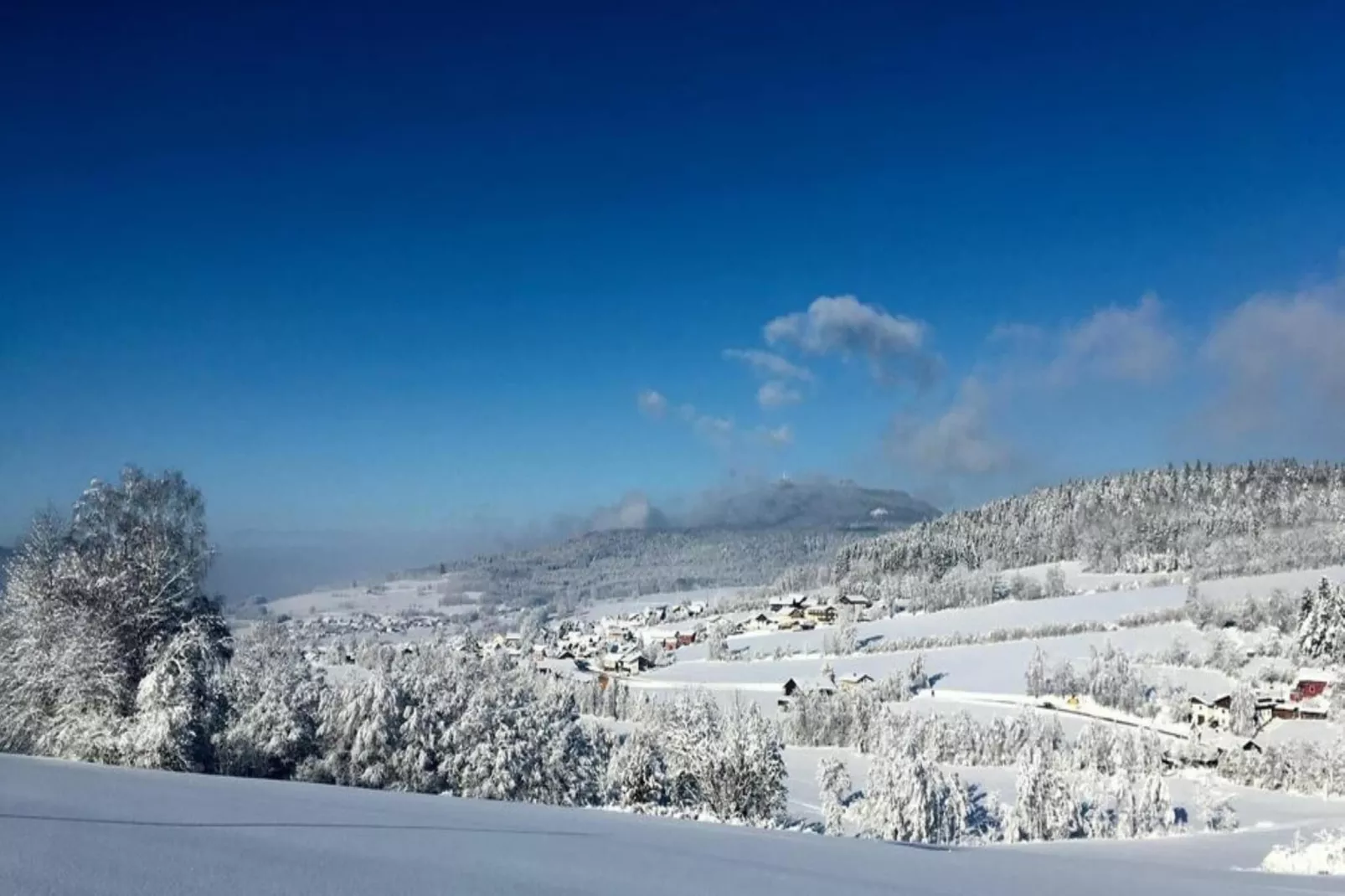 Ferienwohnung in Arrach bei Skigebiet Großer Arber-Gebied winter 20km