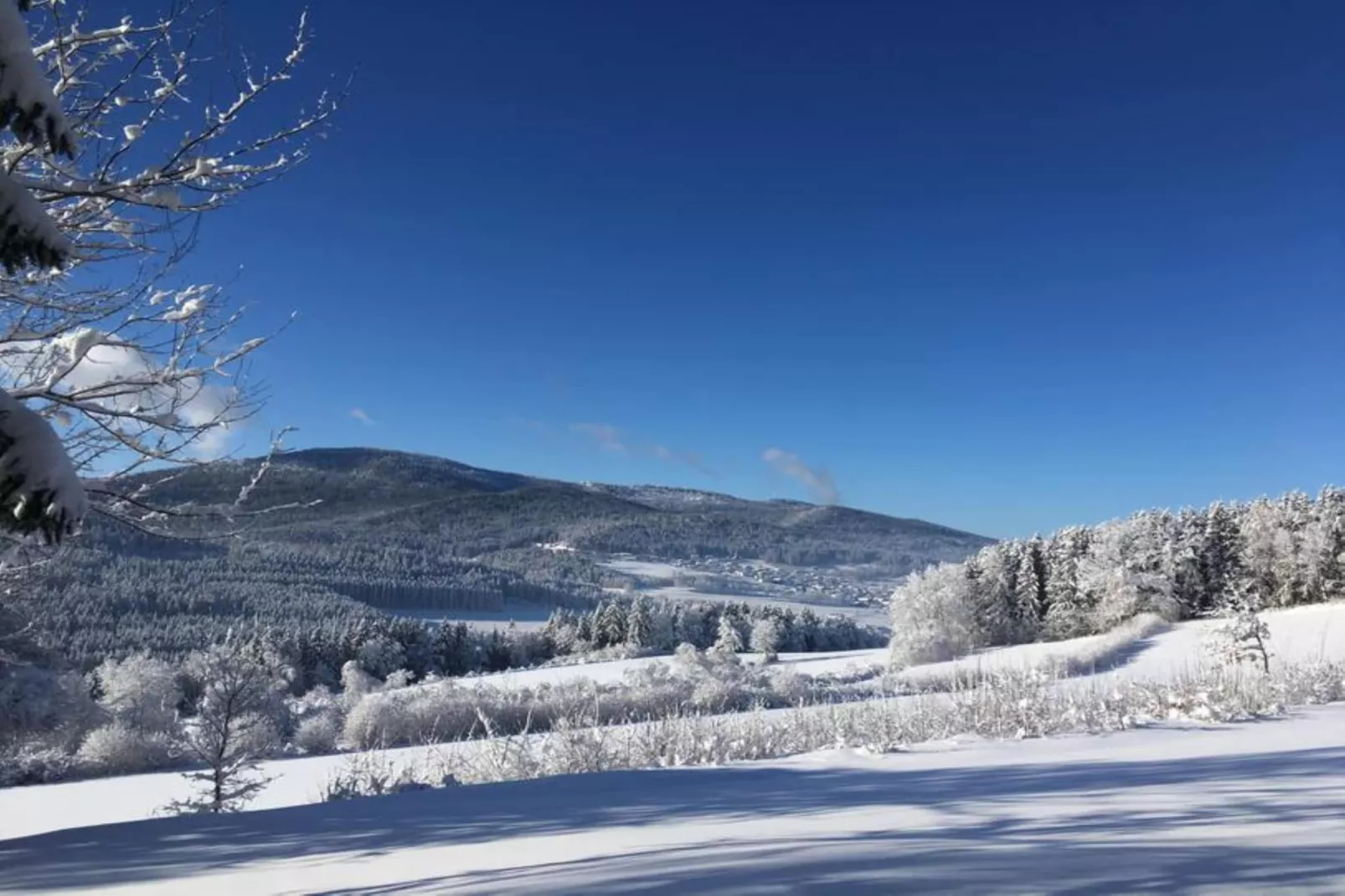 Ferienwohnung in Arrach bei Skigebiet Großer Arber-Gebied winter 20km