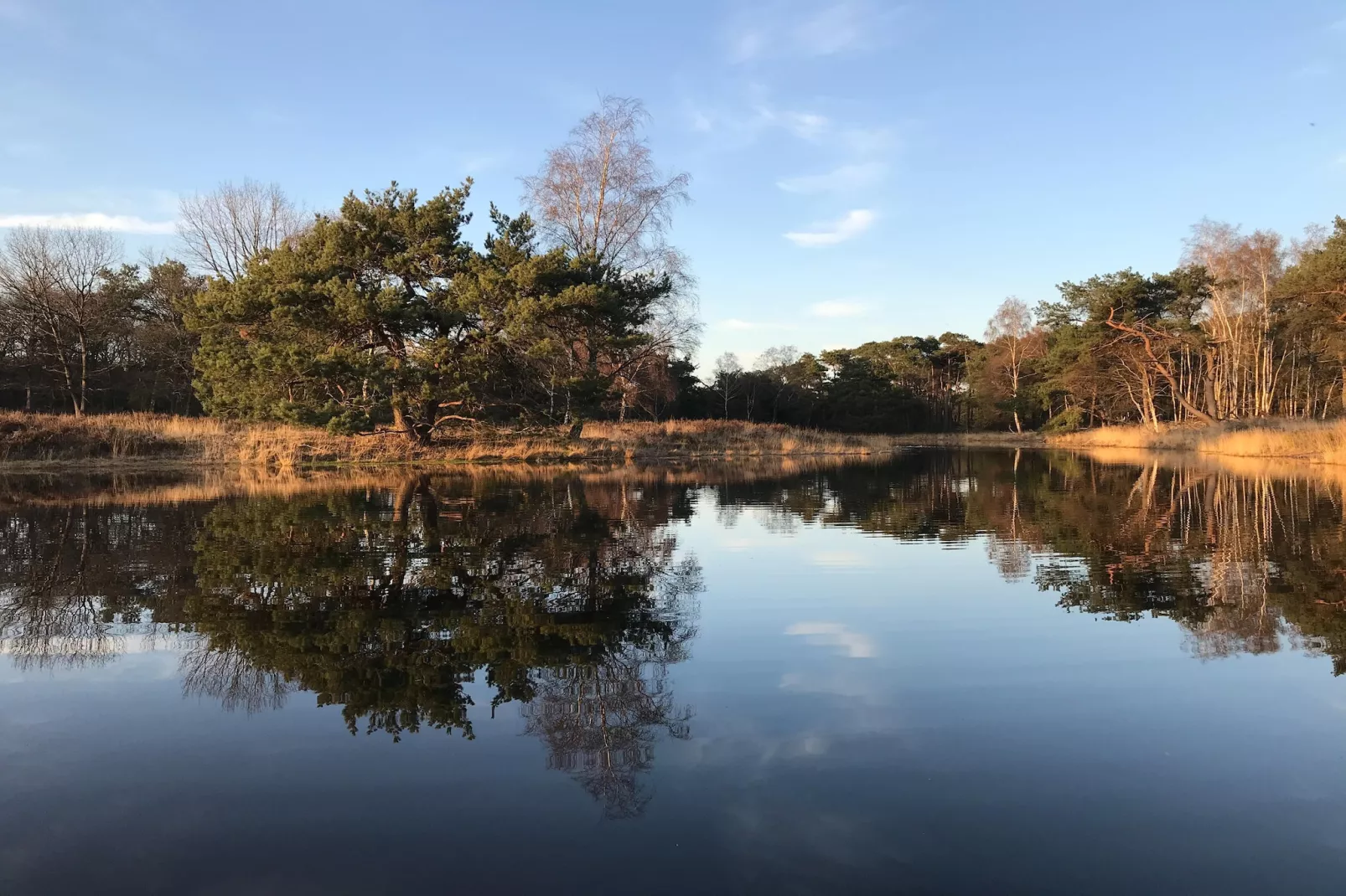 Dorpswoning Op Niveau 4-Gebieden zomer 5km