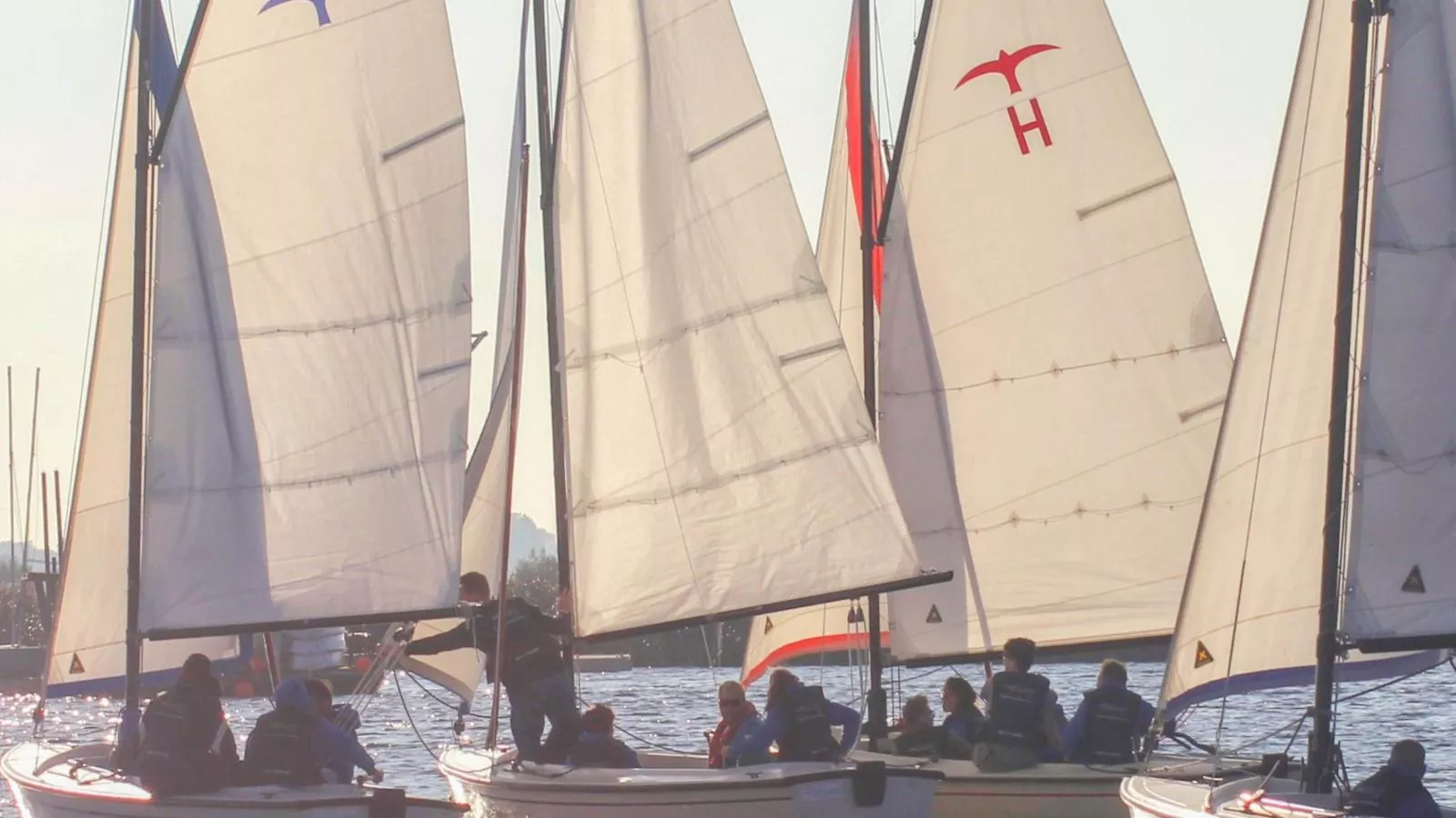 De Kaag Watersport Groepsaccommodatie - 80 pers-Gebieden zomer 1km