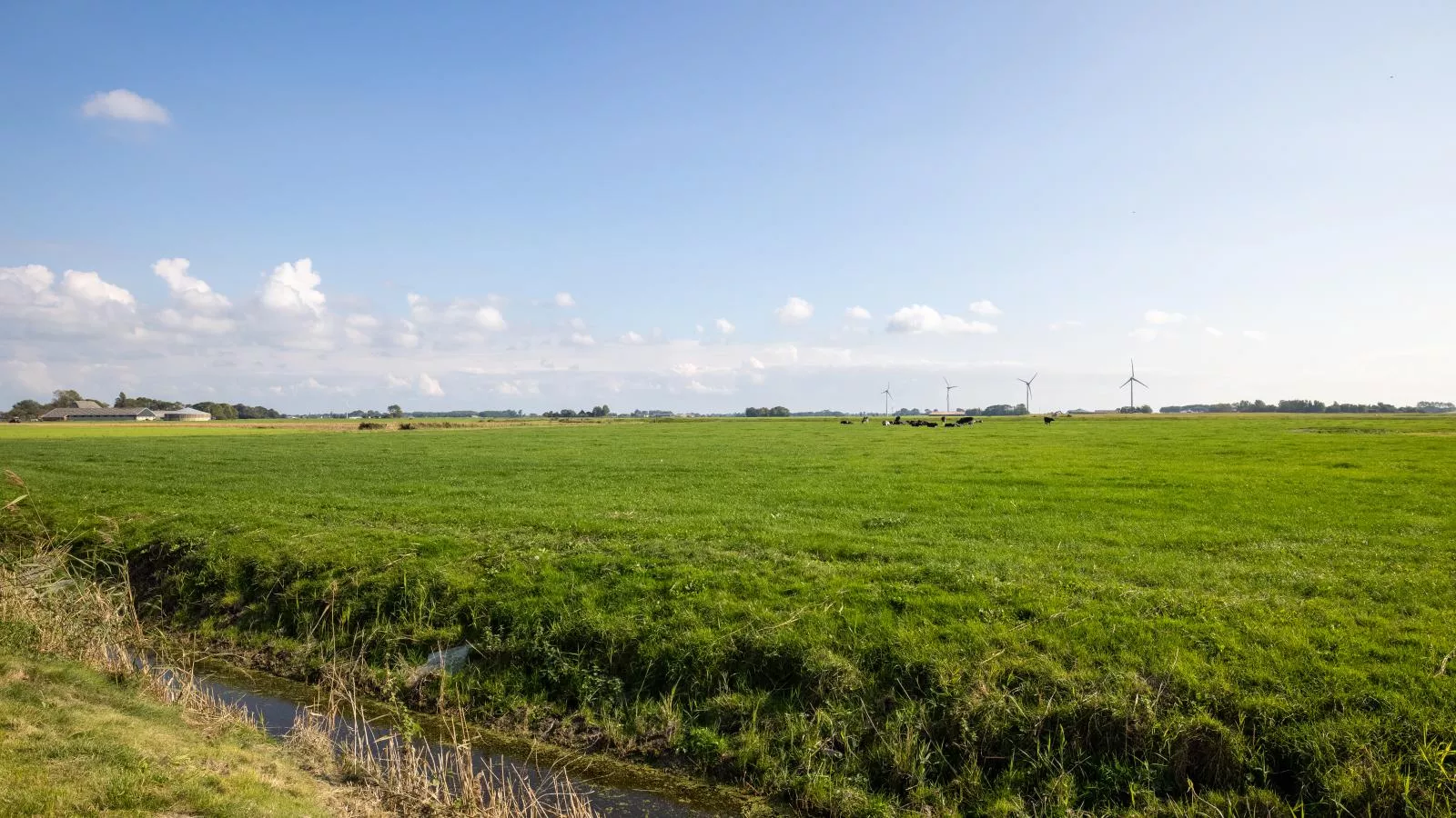 Het Koetshuis-Uitzicht zomer