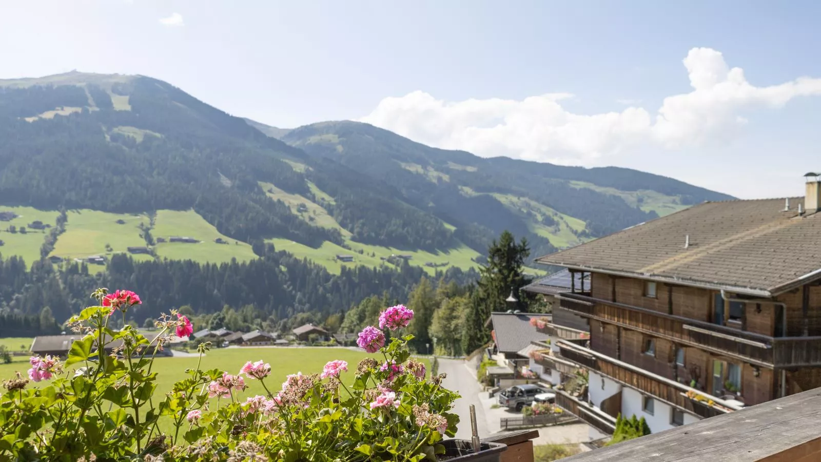 Alpbach Lodge III und IV Superior-Uitzicht zomer