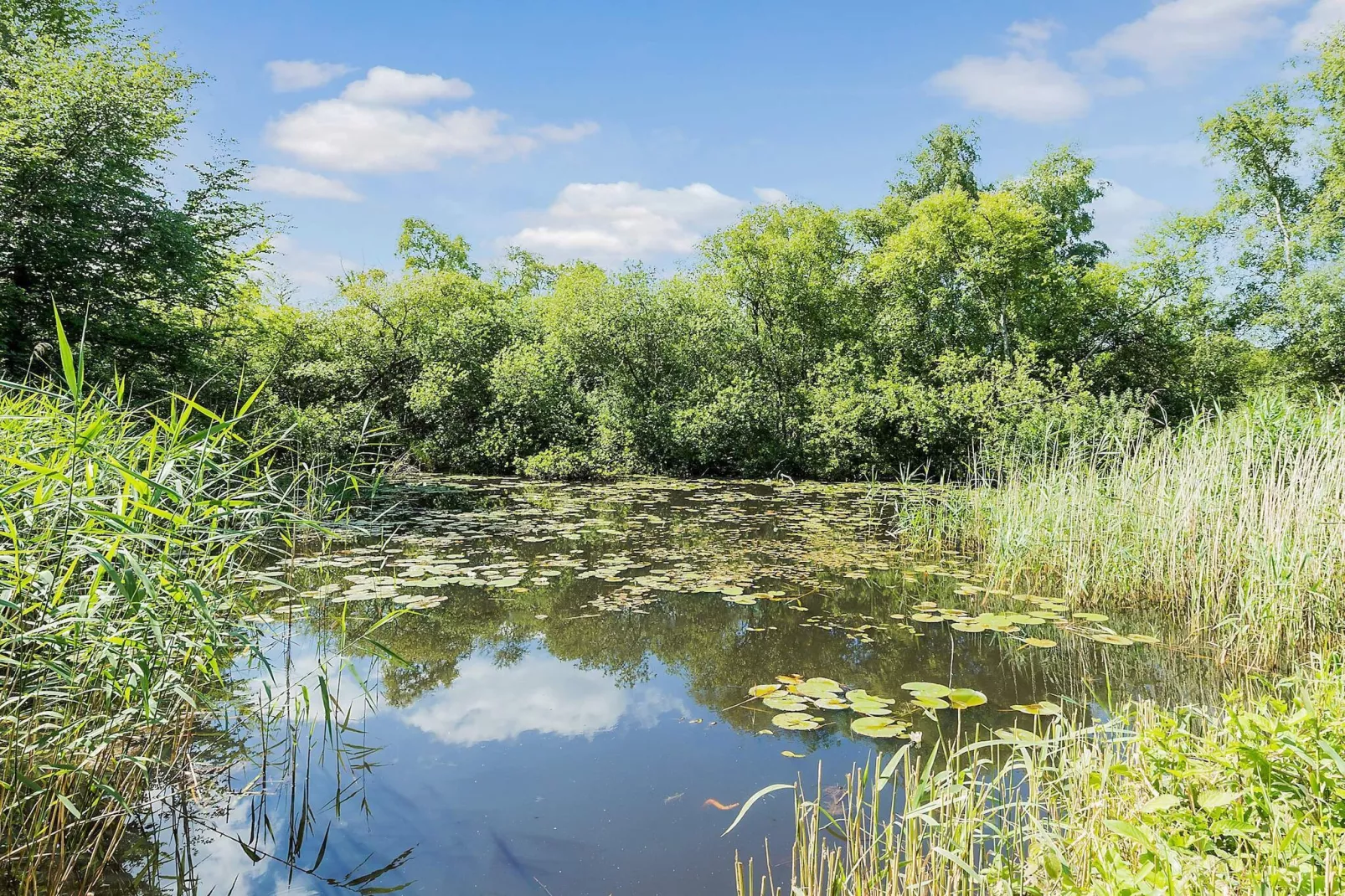 17 persoons vakantie huis in Vejby-Buitenlucht