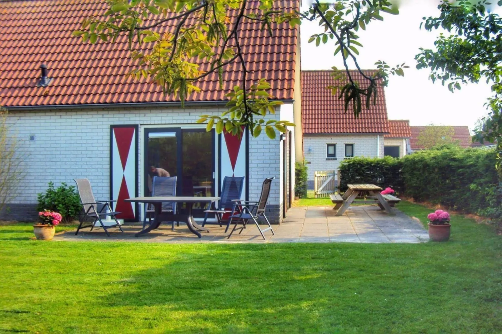 Schoneveld 146 Zeemeeuw Breskens-Tuinen zomer