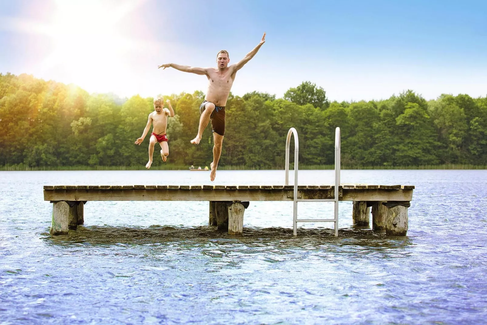 Reiher 4-Gebieden zomer 1km