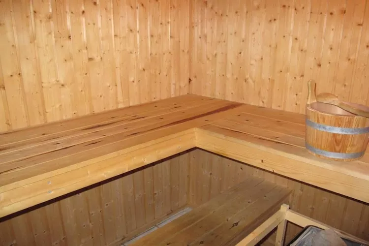 FH Wildgans Comfort Nr54-Sauna