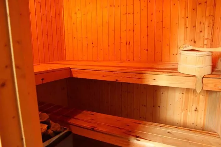 FH Wildgans Comfort Nr 269-Sauna