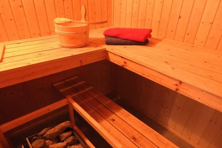 FH Wildgans Comfort Nr 60-Sauna