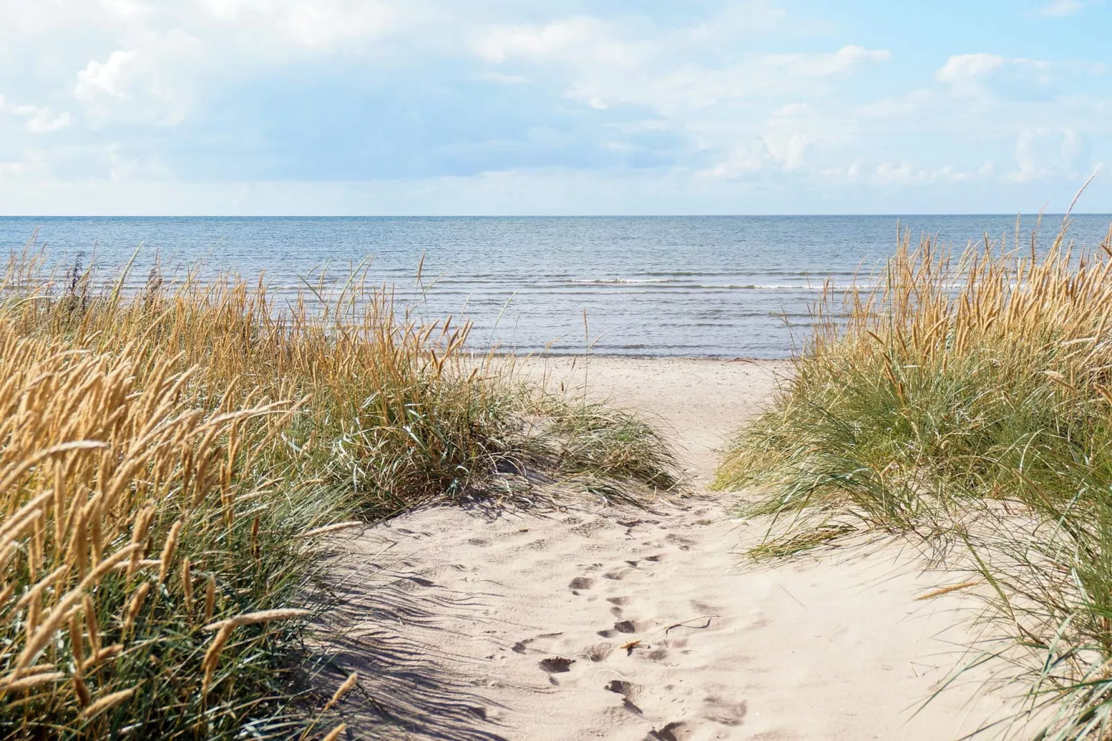 5 Personen vakantie huis in FALKENBERG-Niet-getagd