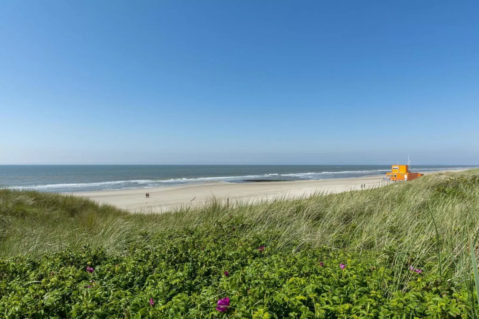 Garnekuul 76-Gebieden zomer 20km