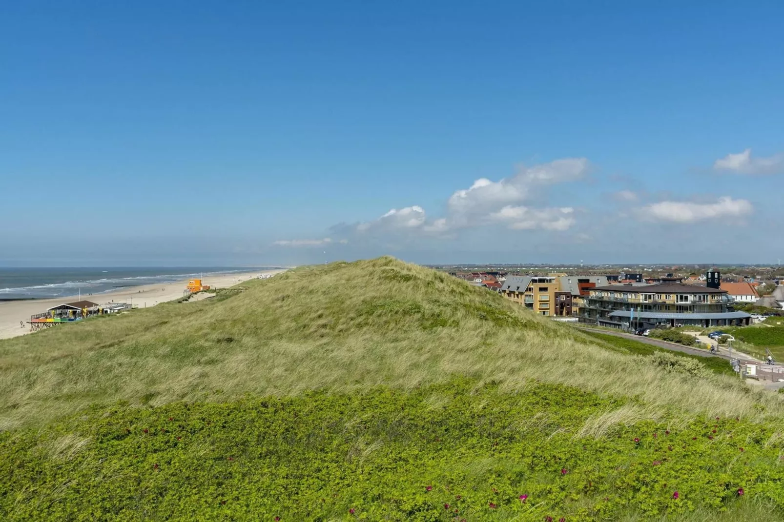 Wijde Blick 301-Gebieden zomer 1km