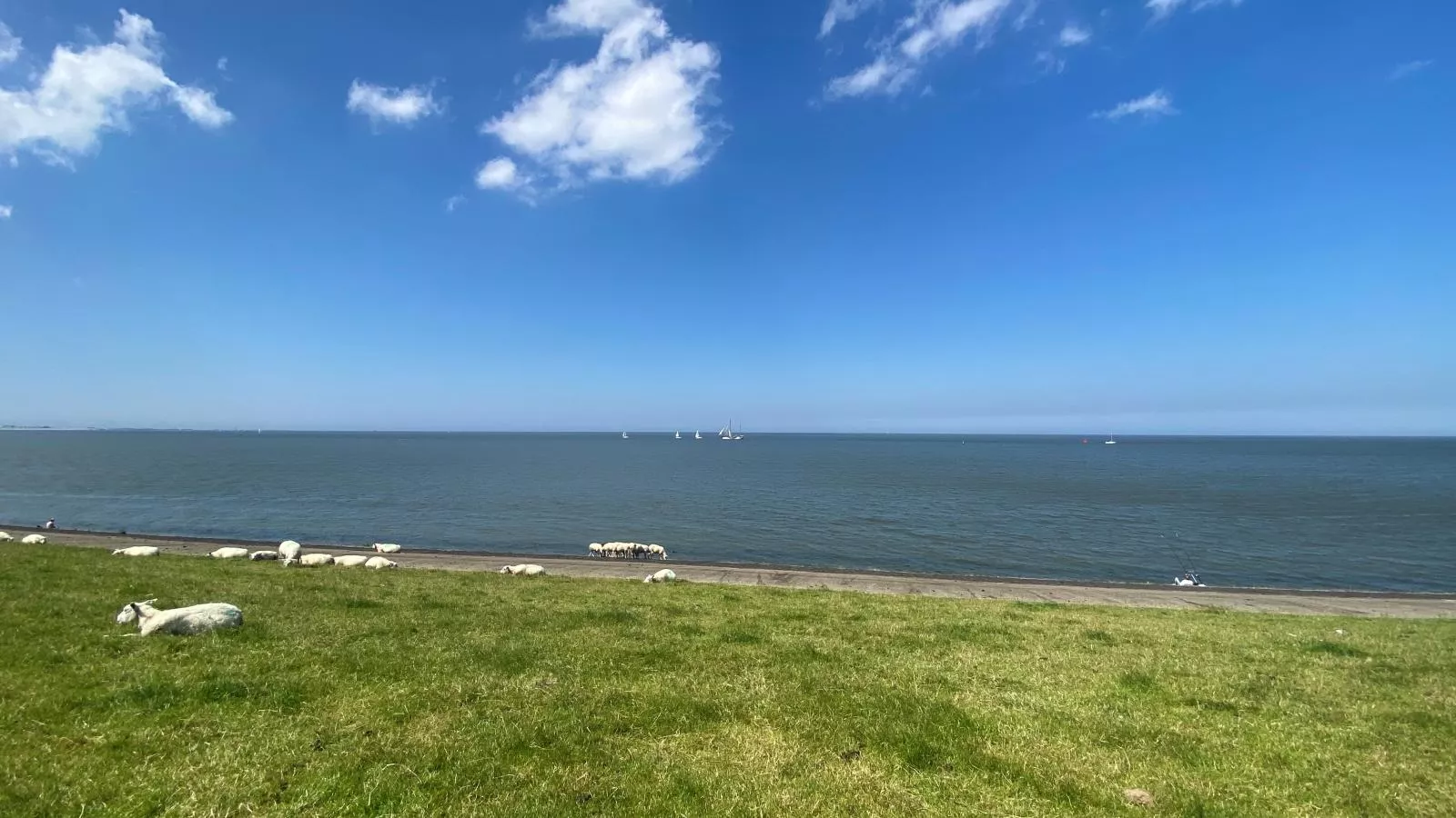 Het Koetshuis-Gebieden zomer 5km